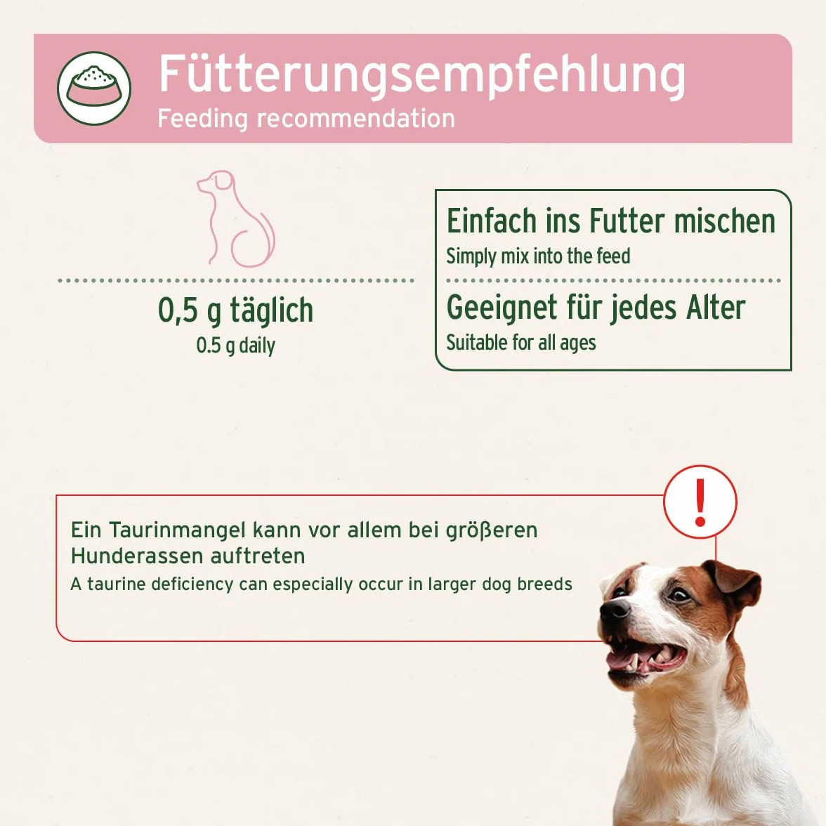 AniForte Taurin für Hunde 100g - Rein, essentielle Aminosäure, Unterstützung Abwehrkraft & Zellstoffwechsel, Erhaltung Herzfunktion & Herzkreislaufsystem, wertvolle Futterergänzung (100 g)