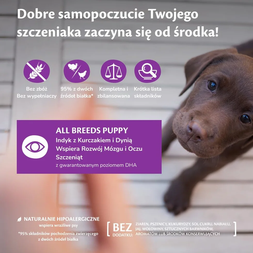 Wellness CORE 95% 6 x 400g, Kurczak i Indyk – Mokra Karma, Pasztet typu Chunky dla Szczeniąt, Bezzbożowa, Naturalna, Hipoalergiczna, Bogata w Białko, o Wysokiej Zawartości Mięsa