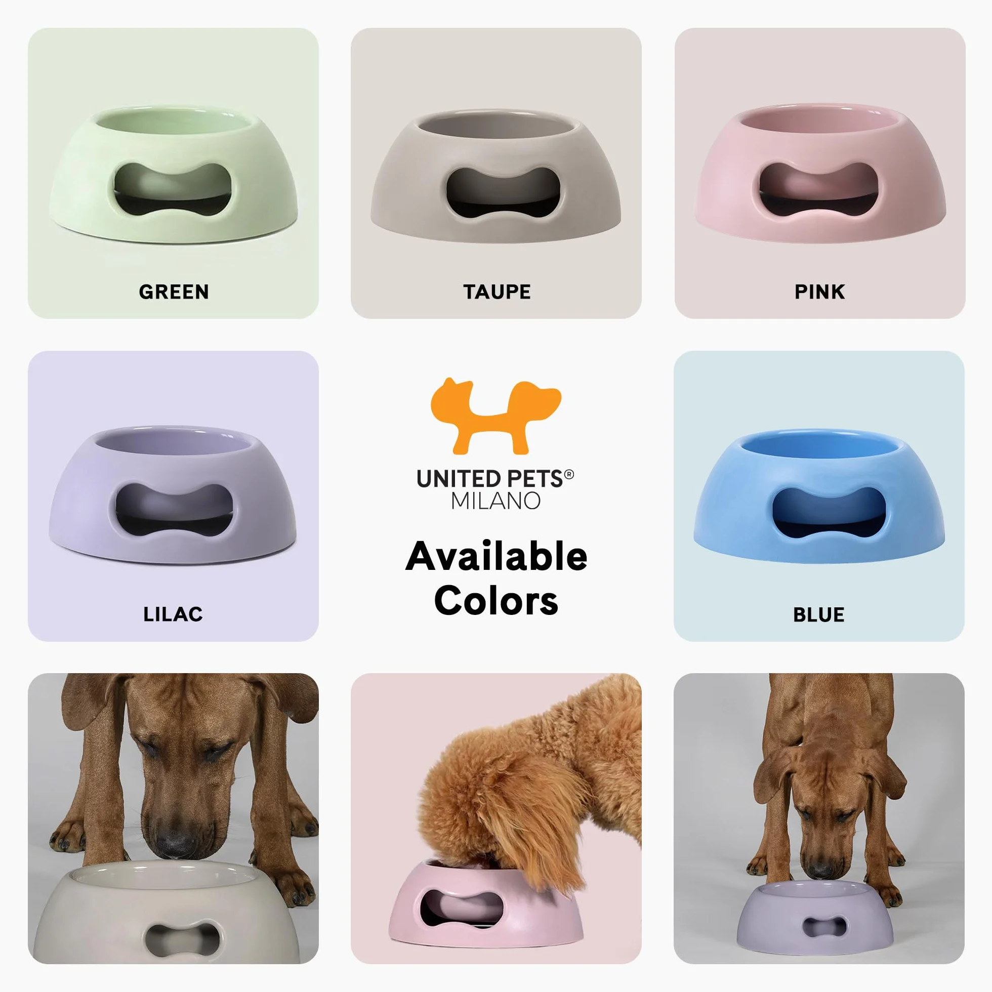 United Pets Miska dla psa średnia lilia