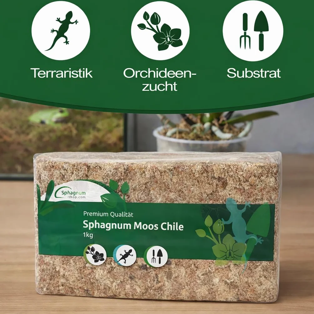 Mech torfowiec do terrarium i storczyków z Chile 1 x 1000 g dla storczyków i terrarystyki - Idealne podłoże i patyki z mchu