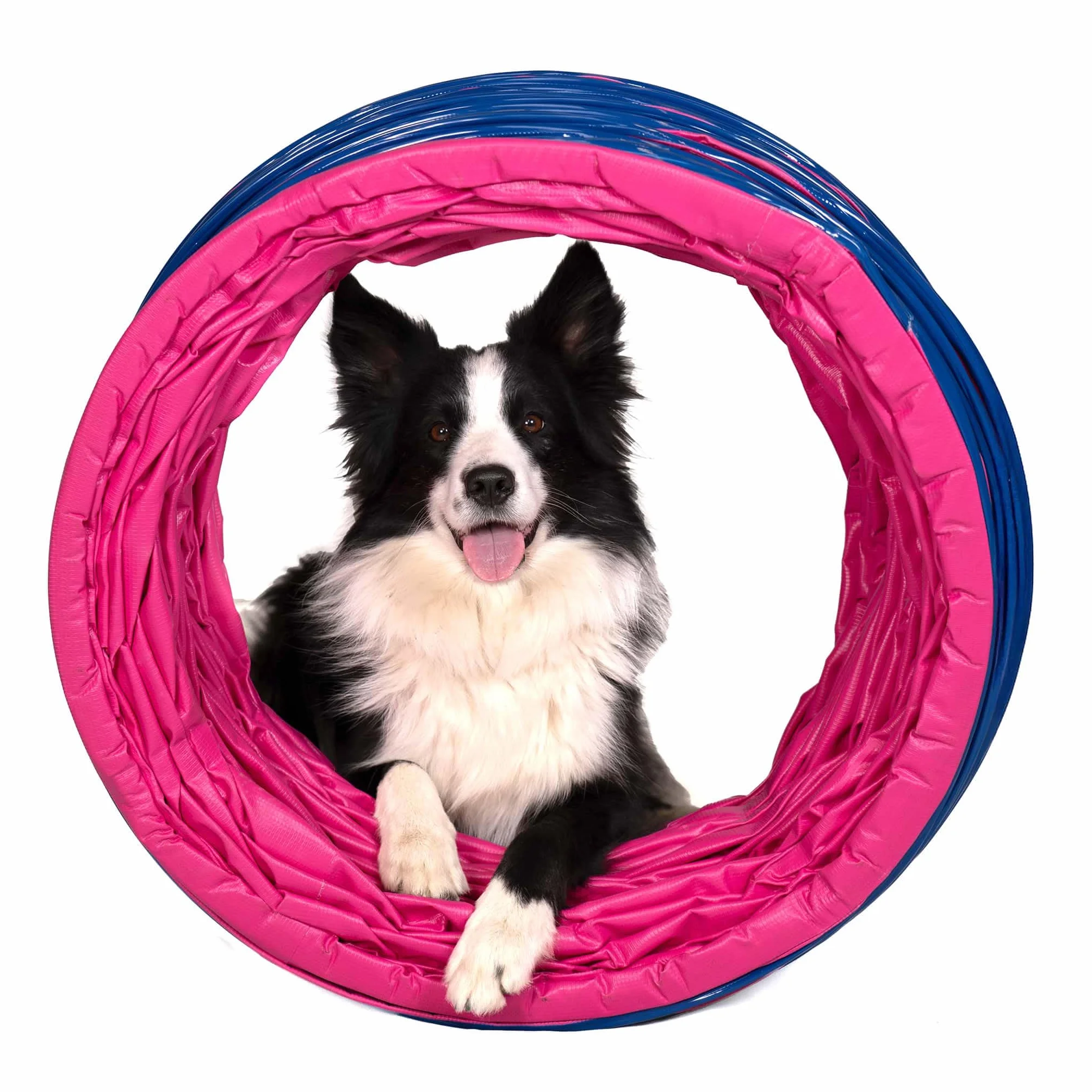 Callieway® Dog Agility tunel profesjonalny / psy tunel 5 m długości / 60 cm Ø Agility urządzenie (5 m, fuksja)