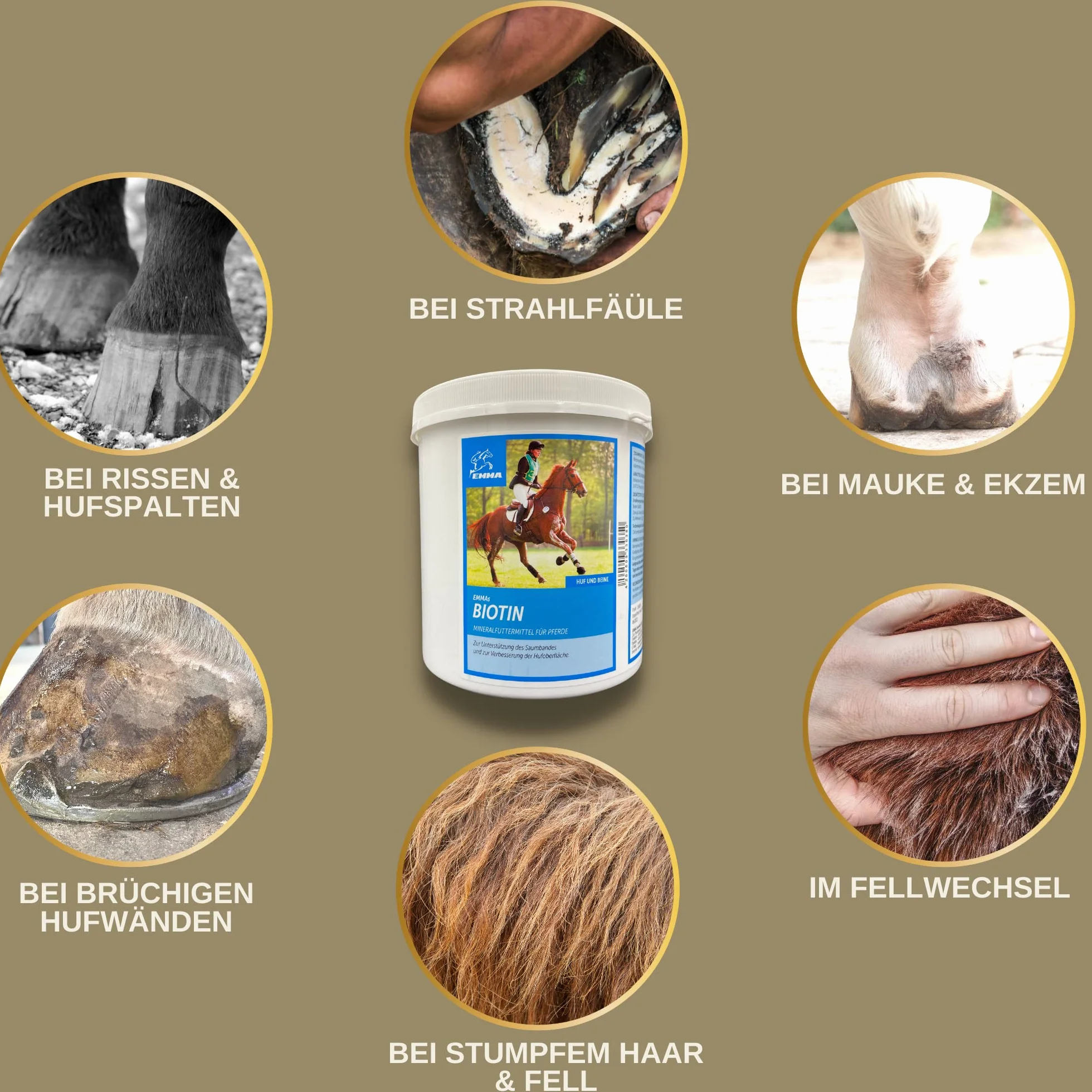 Biotin Plus cynk dla koni, 1 kg – wysoka dawka kuracja dla wzrostu kopyt i jakości kopyt – mineralna karma dla kopyt, sierść skóry – pomoc w przypadku wyprysku i niedoboru cynku – biotyna, cynk