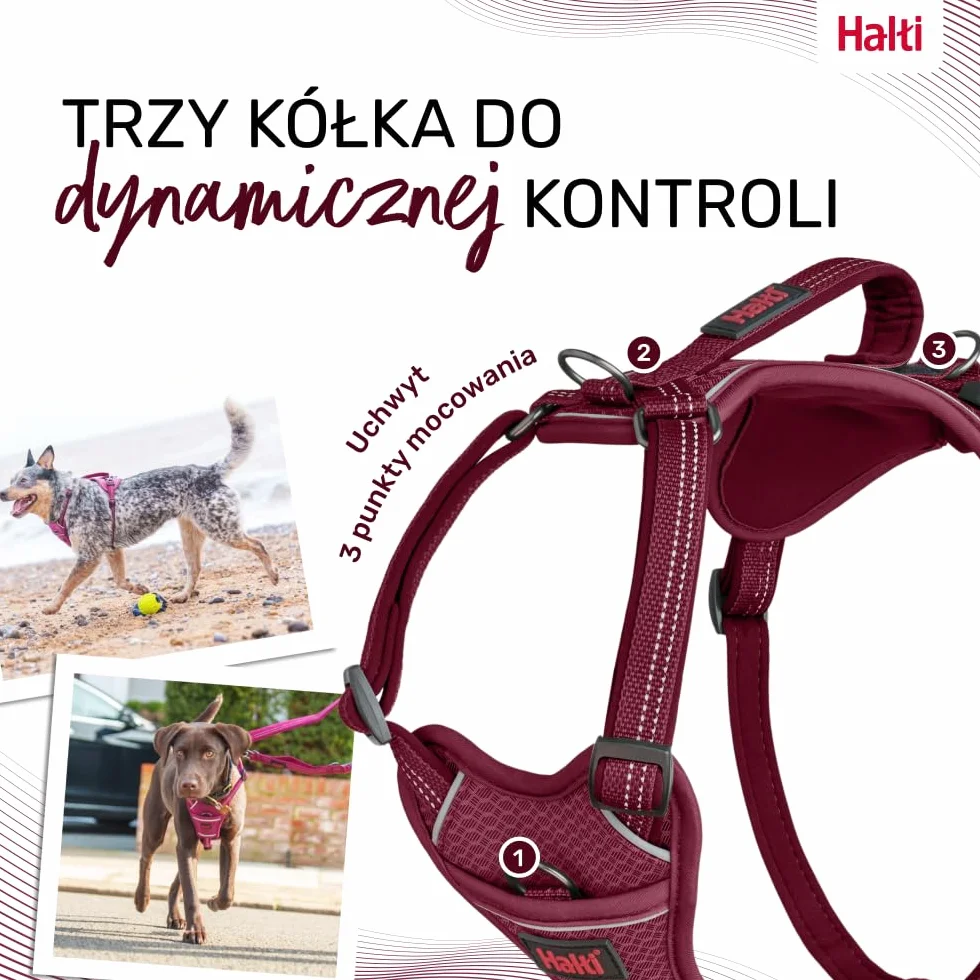 Uprząż dla psa HALTI Anatomy z uchwytem - Zapewnia psu swobodę ruchów i wygodę podczas spacerów. 3 punkty mocowania smyczy, neoprenowa wyściółka, regulowana i odblaskowa (Rozmiar M, Magenta)