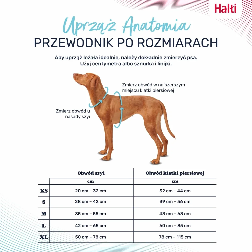 Uprząż dla psa HALTI Anatomy z uchwytem - Zapewnia psu swobodę ruchów i wygodę podczas spacerów. 3 punkty mocowania smyczy, neoprenowa wyściółka, regulowana i odblaskowa (Rozmiar M, Magenta)