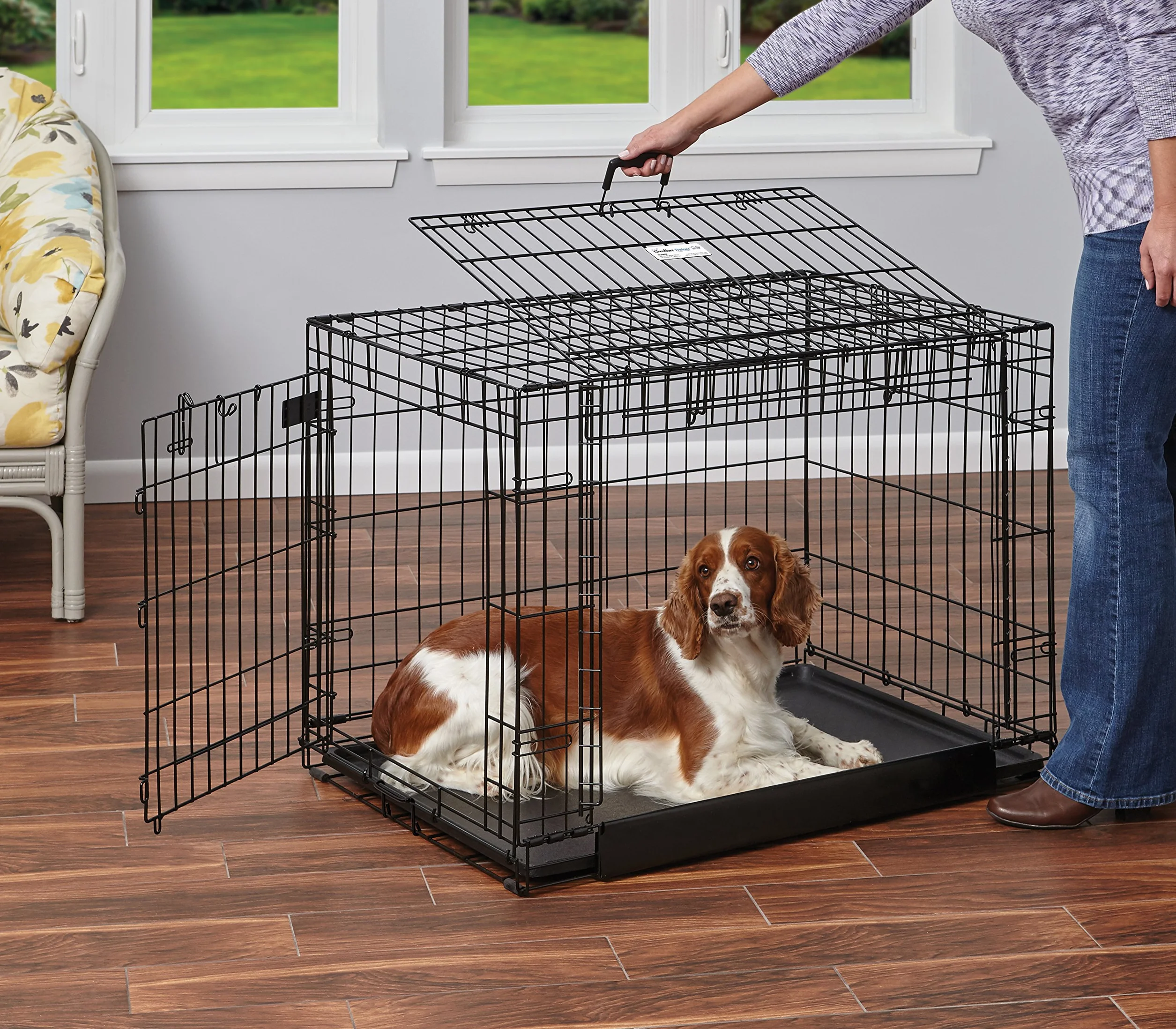 MidWest Homes for Pets Intermediate Ovation Double Door 36-inch Folding Metal Dog Crate, Front and Up & Away Side Doors, Space-Saving Design