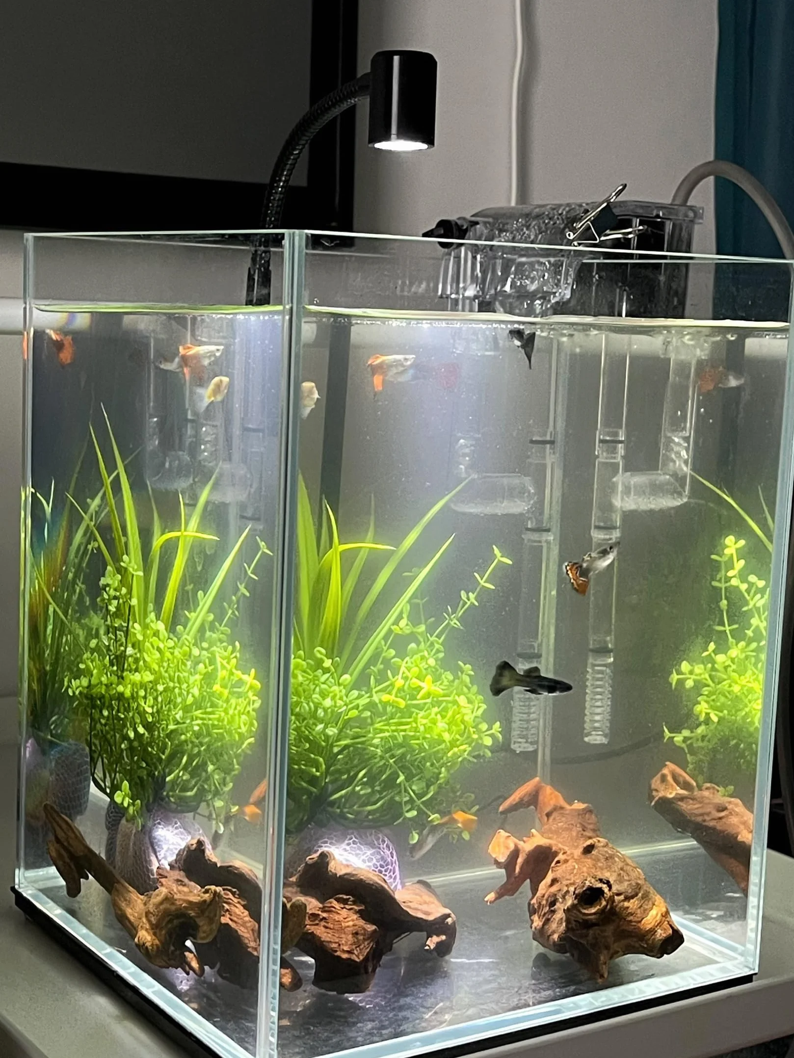 YZHZOM 4-częściowy zestaw małych naturalnych drewien drifujących do akwariów, 7,6-15 cm, starannie dobrane naturalne dekoracje do akwarium, drewno dryfujące do terrarium, terrarium, dekoracja z drewna