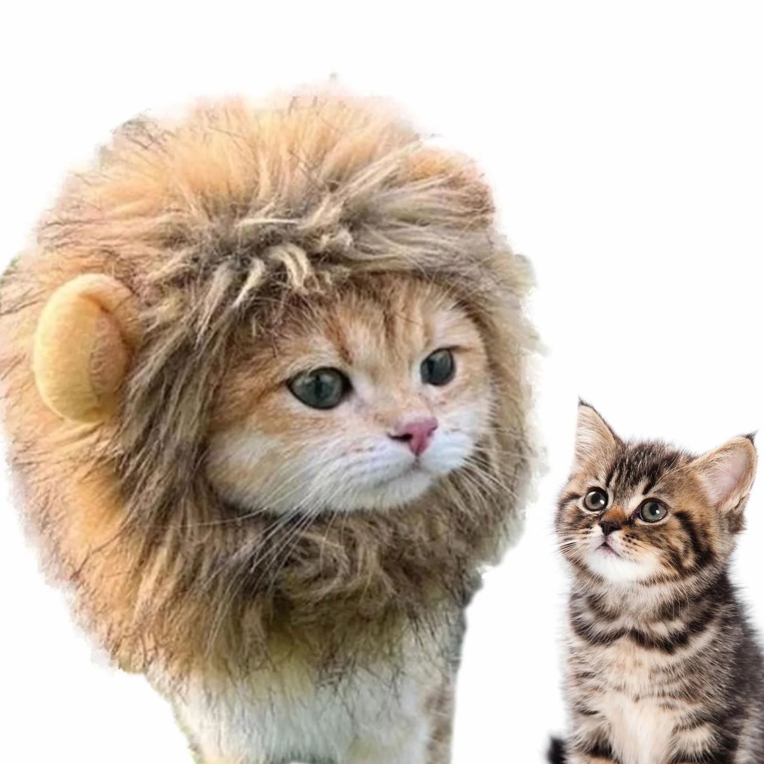 Maciun Lew Grzywa , Lew Grzywa dla kota - Lew W?osy Zwierz? Kot Kostium Kot Cosplay Odzie? - G?adkie w?osy lwa, zabawny kostium kotka, zmywalny fantazyjny kostium, kapelusz