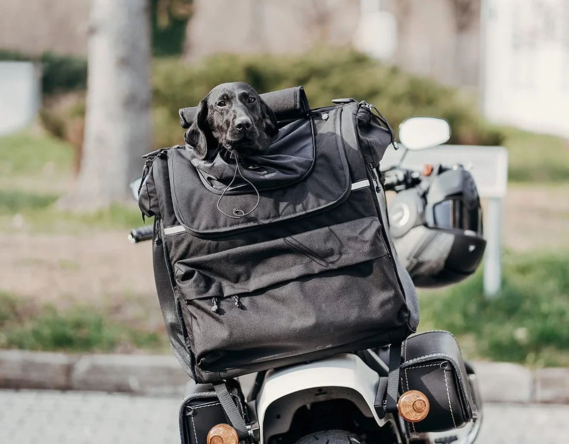 PET BAG, torba dla psa do jazdy na motocyklu, dla dużych ras psów (do 20 kg), wodoodporna, z potrójnym systemem wentylacji, torba motocyklowa na sissy bar, wykonana z włoskiej Cordury