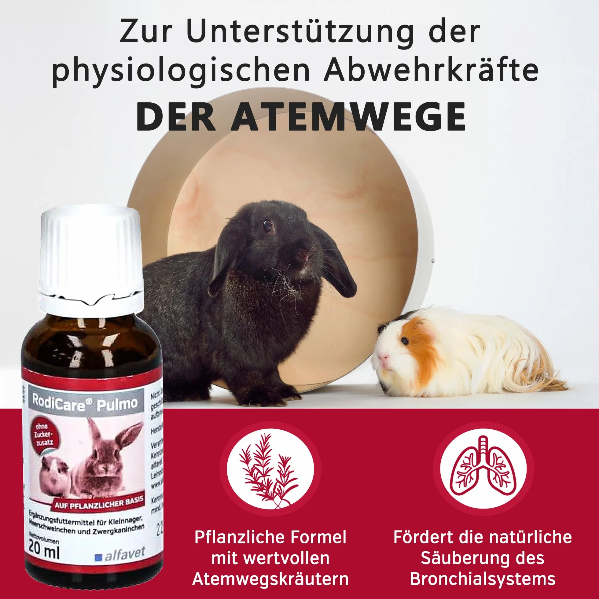 alfavet RodiCare Pulmo 20 ml pasza uzupełniająca dla świnek morskich strzykawka dozująca