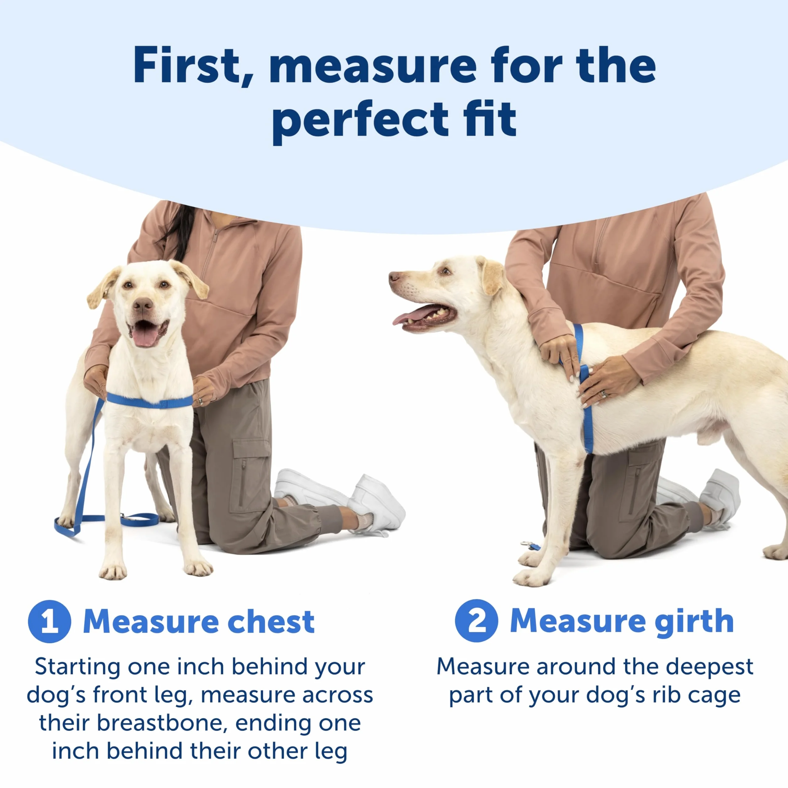 PetSafe Deluxe Easy Walk uprząż dla psa