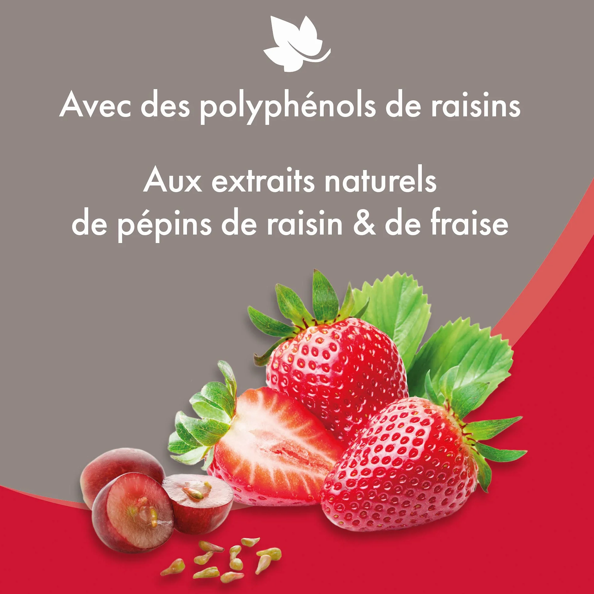 BEAPHAR Odżywka dla psów z naturalnymi ekstraktami z oleju z pestek winogron i truskawek 250 ml