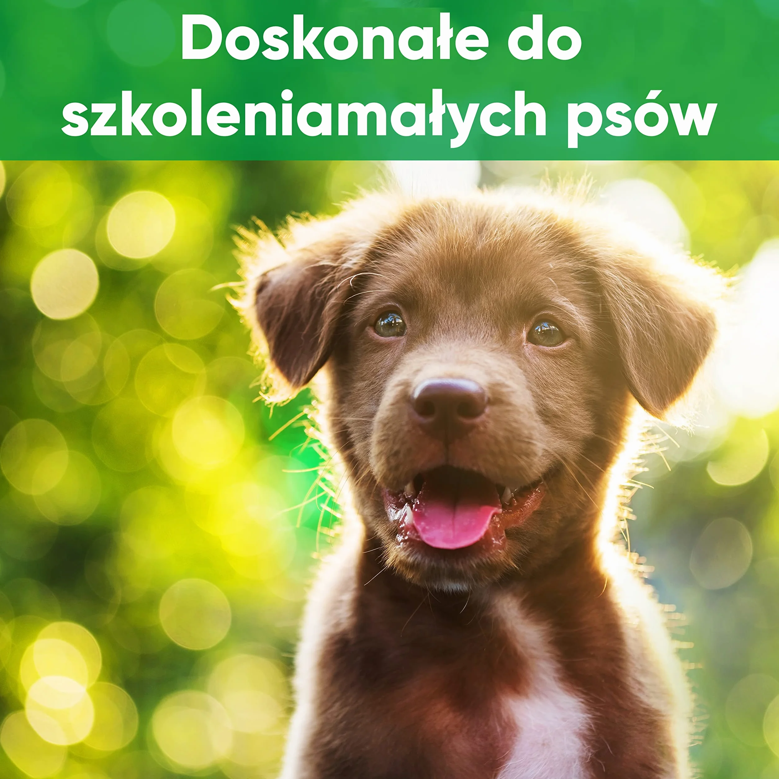 🐾 ENERO® Fajka dla psa – ekstremalnie niezawodny trening i wychowanie – wysoka częstotliwość – daleko idąca głośność – wraz z praktycznym paskiem do zawieszenia
