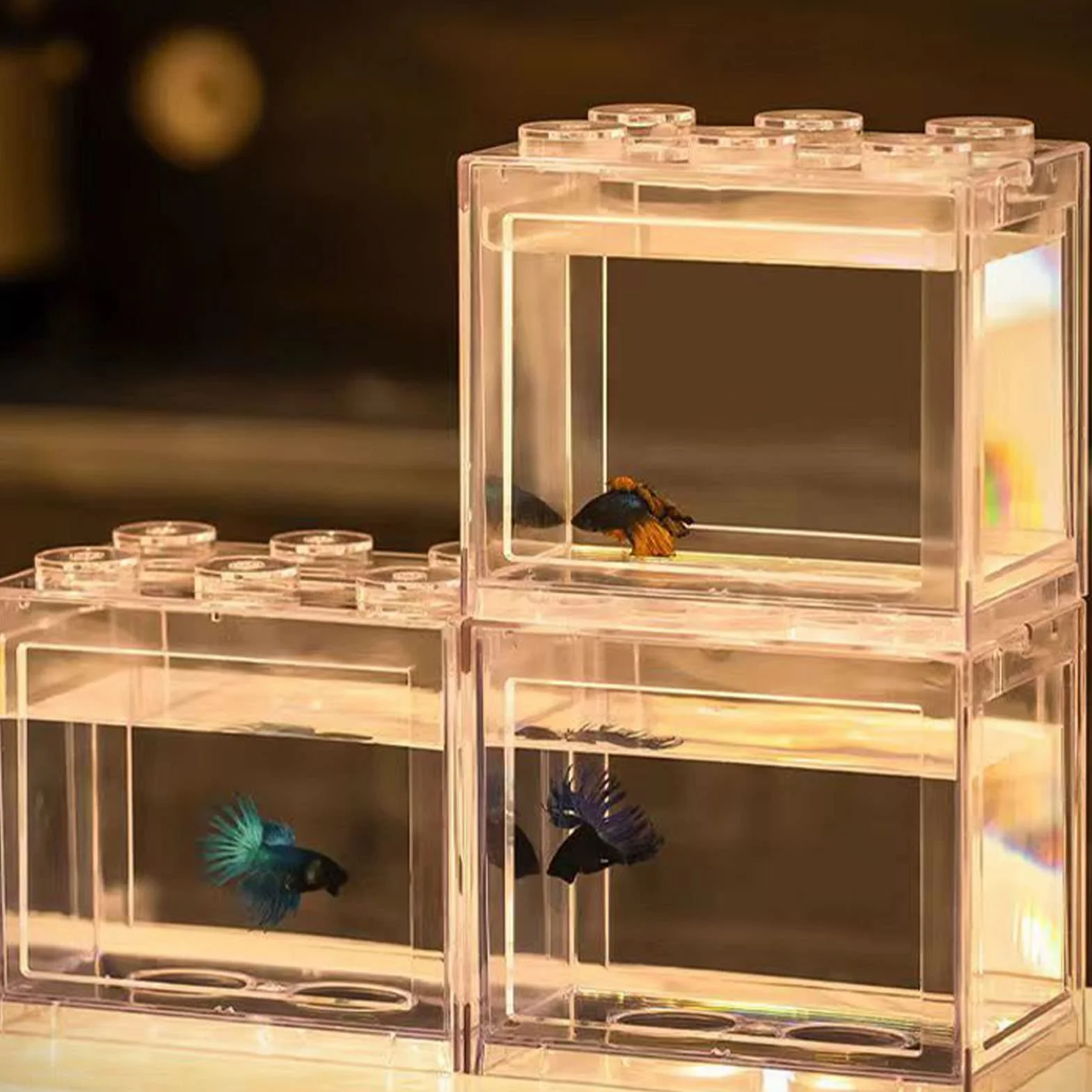 Miniaturowy akwarium, małe akwarium betta, przenośny, przezroczysty, wykwintny, odporny na upadki, dla gadów dla ryb (zwykły przezroczysty)