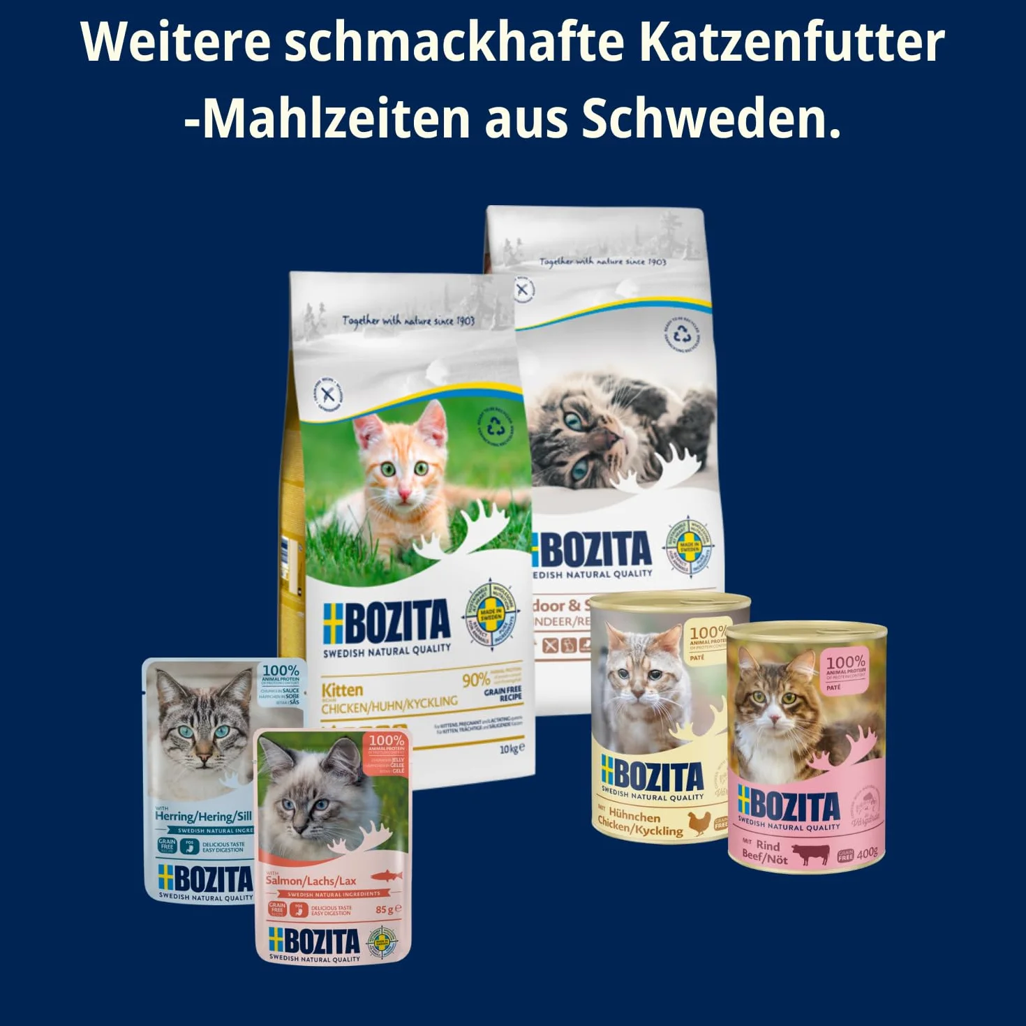 Bozita Karma mokra dla kotów w galaretce z mieloną wołowiną 6x370 g bez zbóż i cukru 7,5% białka 5% tłuszczu