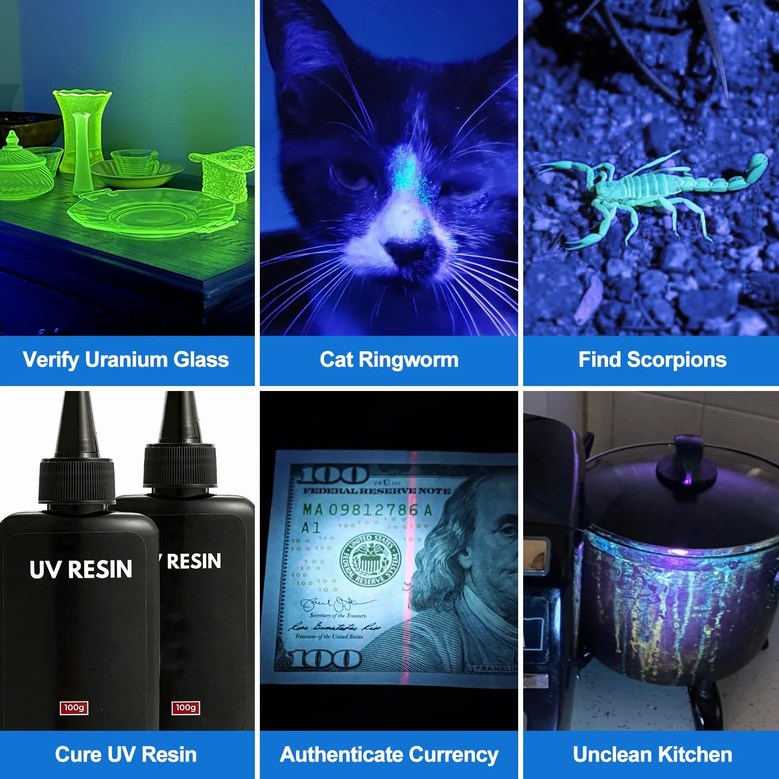 Vansky Blacklight UV Light 365nm latarka UV detektor moczu dla zwierząt psów kotów polowanie na skały