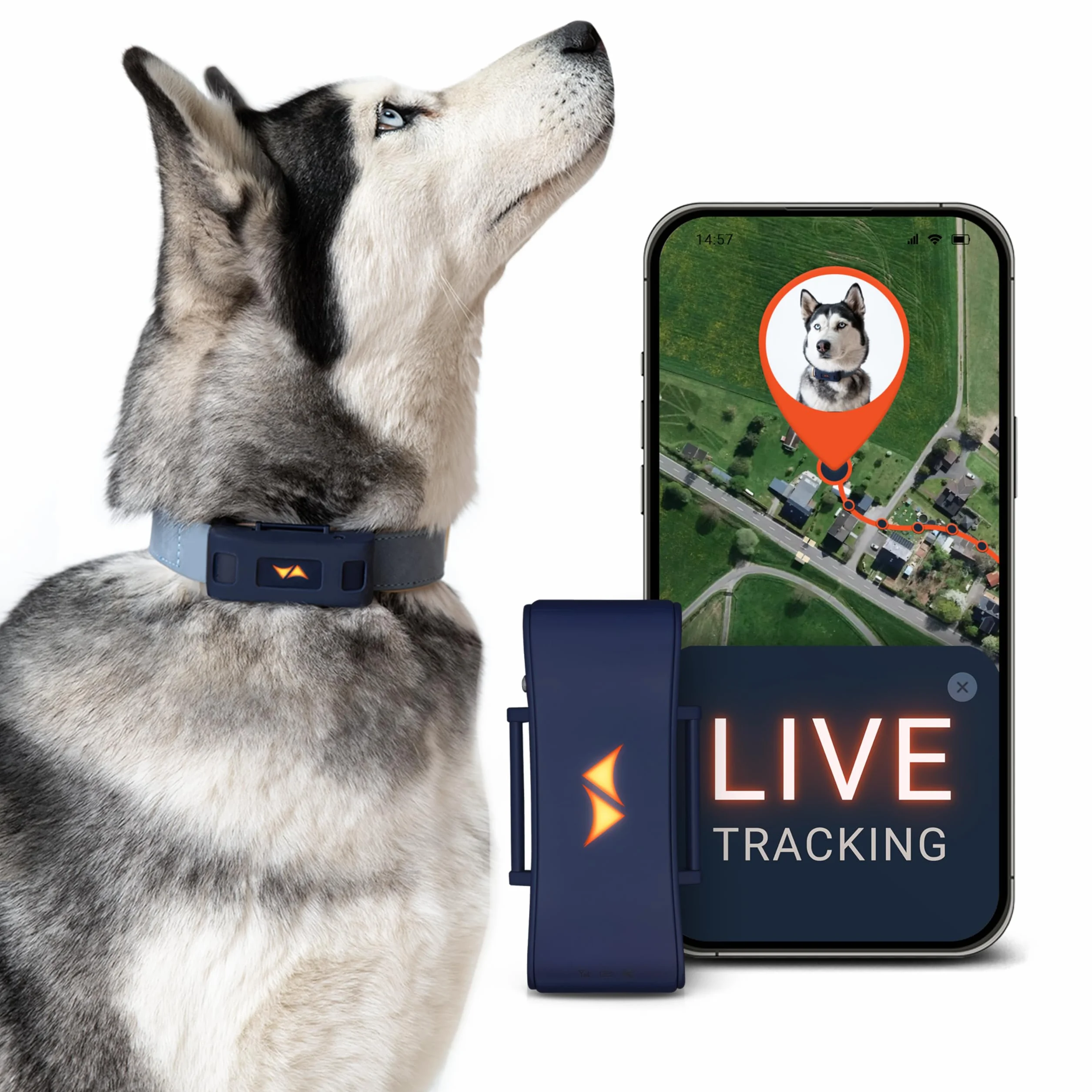 PAJ GPS Tracker dla Psów - 4G + 3-Miesięczny Abonament Premium W Cenie - Śledzenie GPS na Całym Świecie, Bateria do 10 Dni, LED, Wodoodporny, Pasuje do Wszystkich Obroży - Niebieski