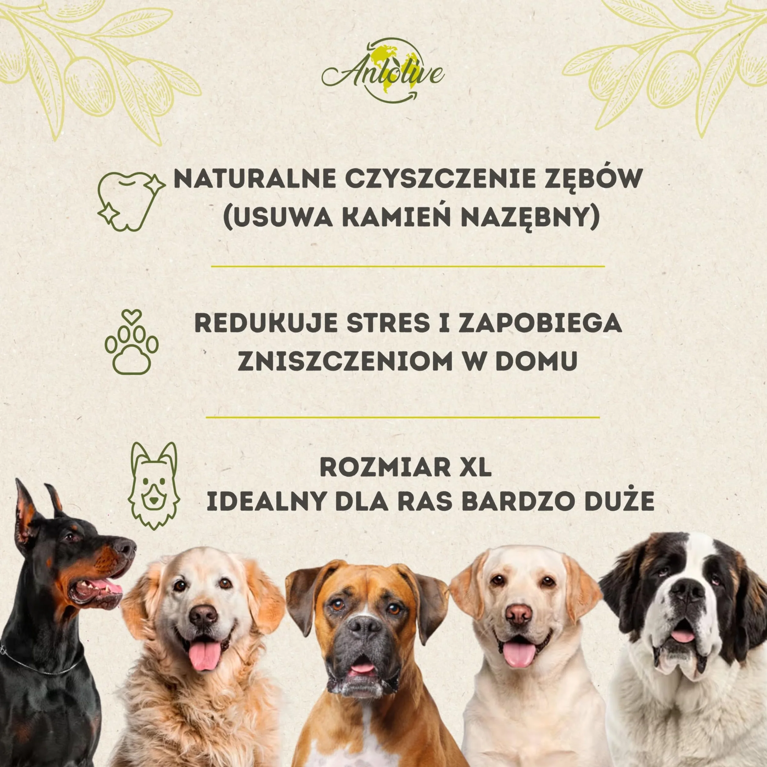 Naturalny gryzak rozmiar XL 27–30 cm | Dla dużych psów | Patyk z drewna oliwnego | Zdrowa, bezpieczna i trwała zabawka | Łagodzi lęk, dba o zęby i redukuje stres