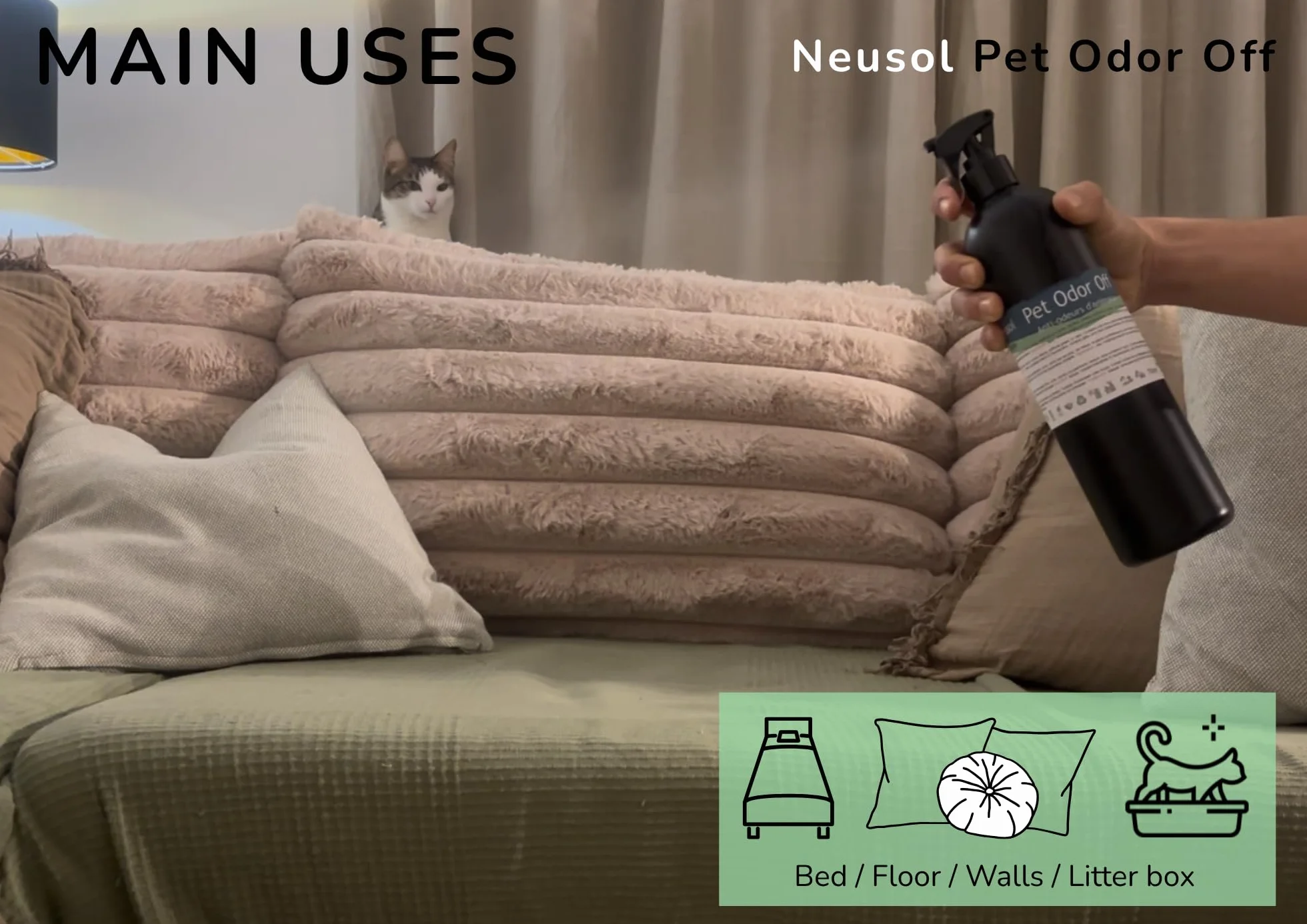 Pet Odor Off - Naturalny neutralizator | Usuwa zapachy zwierząt: mocz, wymioty, odchody itp. Na podłogach, ścianach, tekstyliach, trawnikach itp. | Bezpieczna formuła bez CLP i zapachu - 2