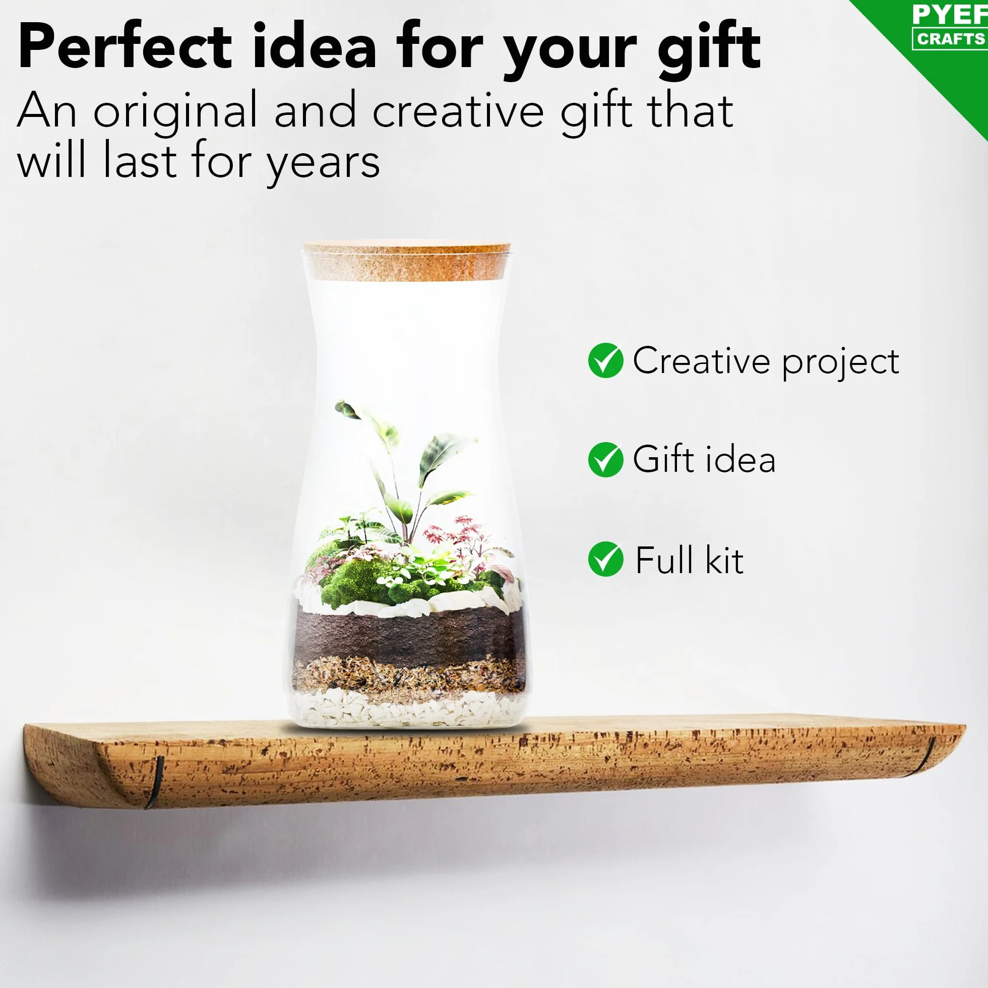 Zestaw do terrarium DIY dla roślin, zestaw startowy do ogrodu w butelce, samowystarczalny ekosystem - materiały dla sukulentów, roślin powietrznych, paproci - zestaw bez słoika (M), bez