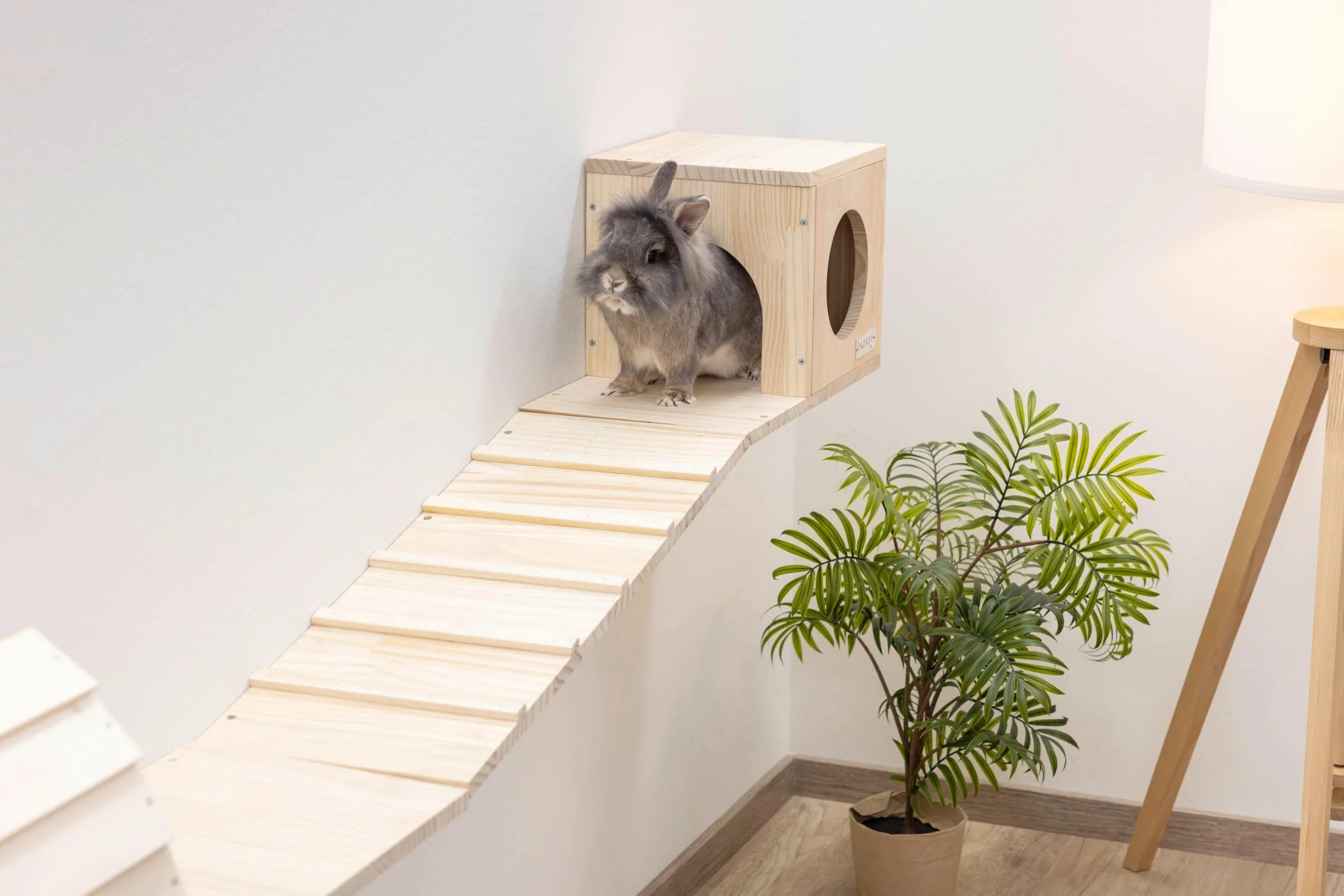 Kerbl Pet Parkour ścienny dla małych zwierząt Skywalk, 6-częściowy, 100% drewno lite, ścianka wspinaczkowa, elastycznie rozbudowywalny, montaż na ścianie, dla królików, kotów