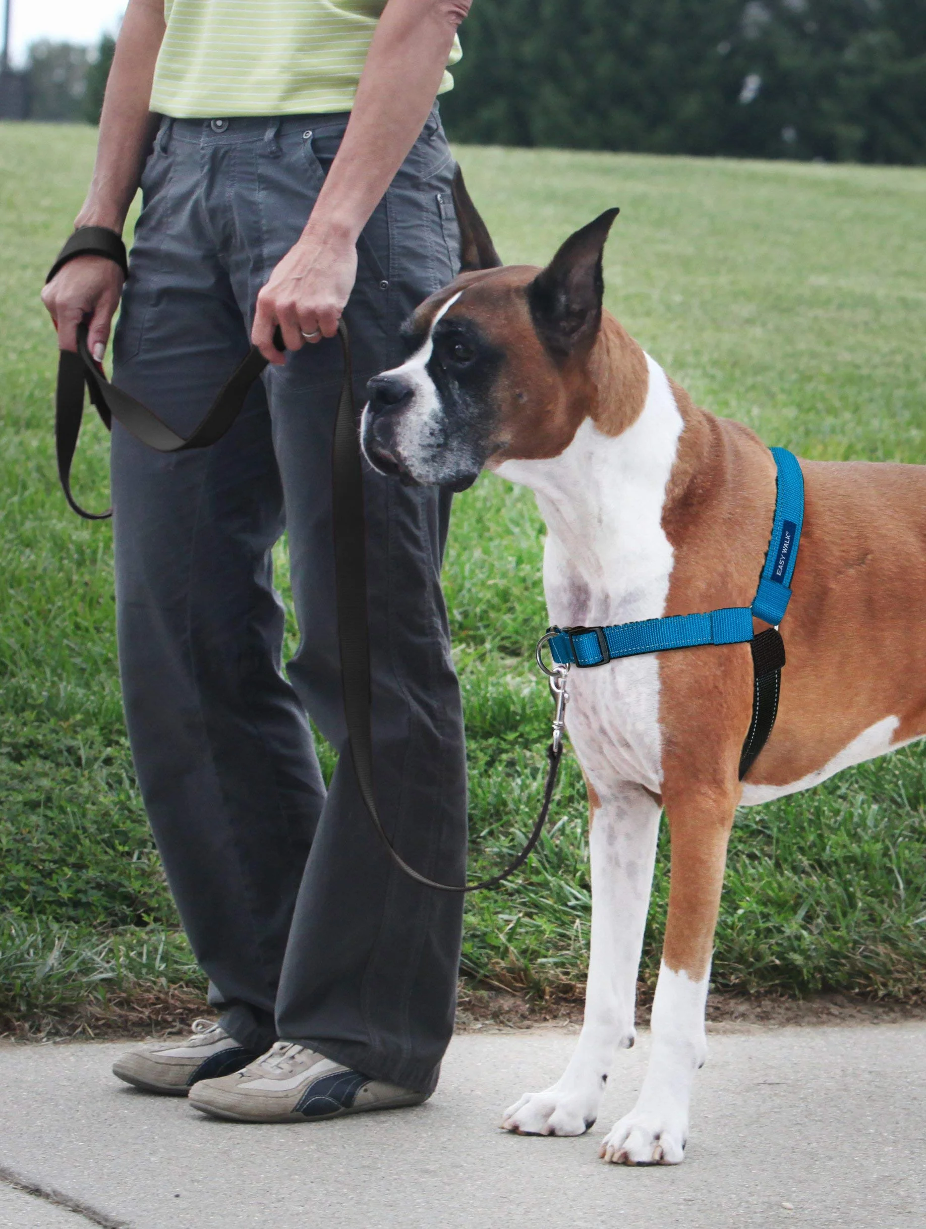PetSafe Deluxe Easy Walk uprząż dla psa