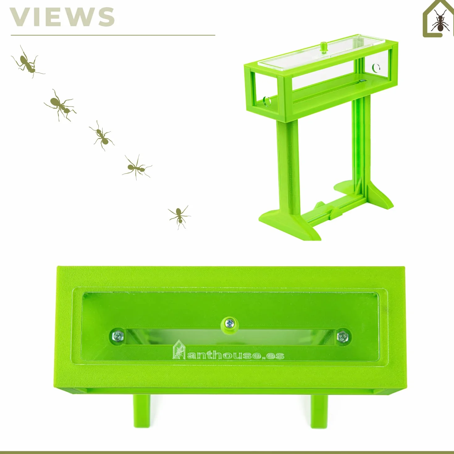 AntHouse Naturalna farma mrówek, z piasku, zestaw akrylowy 3D w kształcie litery T, 15 x 15 x 1,5 cm, kolor szary, w zestawie z mrówkami
