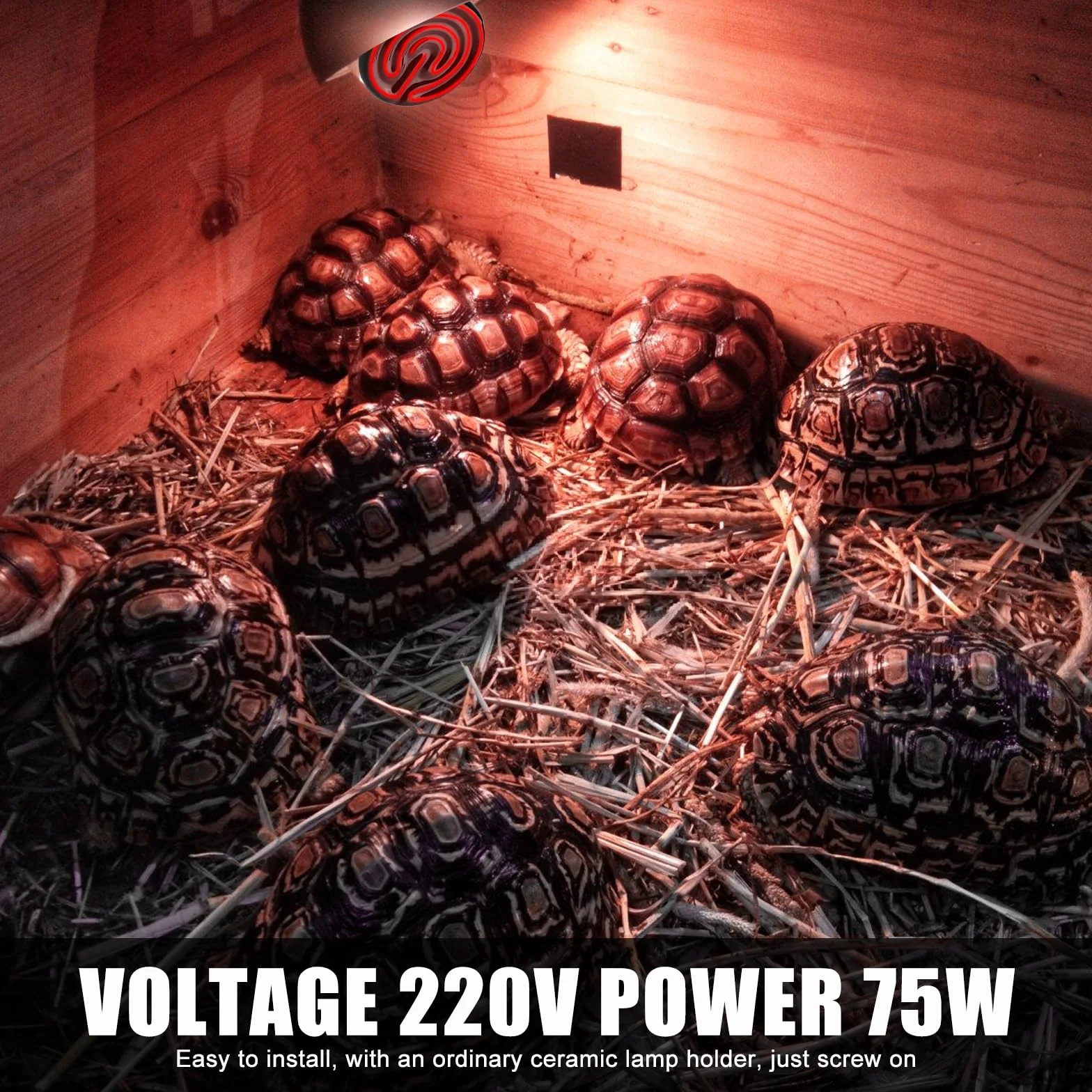 Ceramiczna lampa grzewcza 75 W, 220 V, E27, ceramiczna, na podczerwień, ceramika, zwierzęta, lampa grzewcza dla płazów, żółwia, jaszczurki, węża, pająka, pisklęta, psa, kota (75 W)