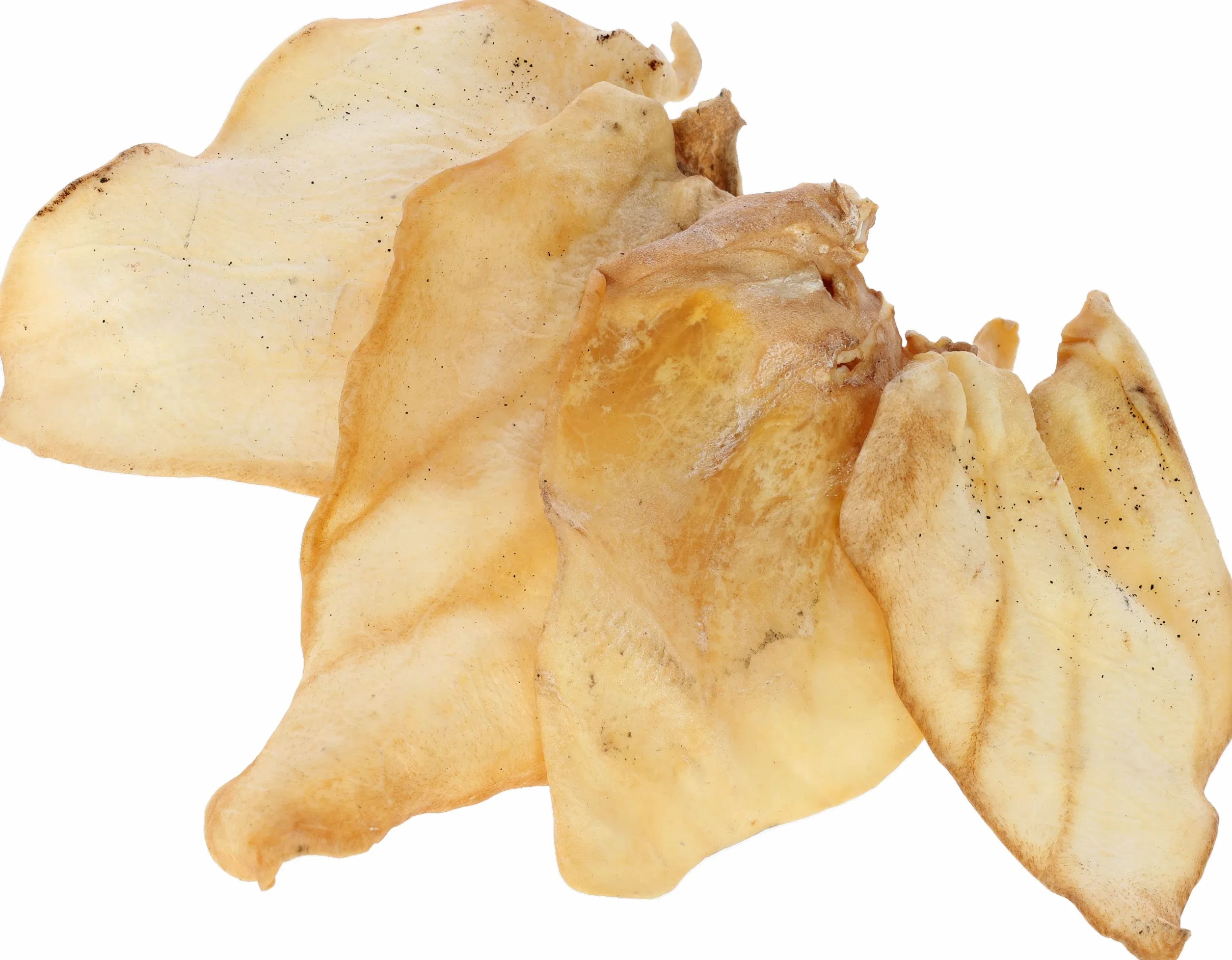 Kerbl Pet Uszy Wołowe, 100% Naturalne, Niskotłuszczowe, bez Dodatków, Czyści Zęby, Wzmacnia Mięśnie Żucia, Niski Zapach, dla Wszystkich Ras Psów