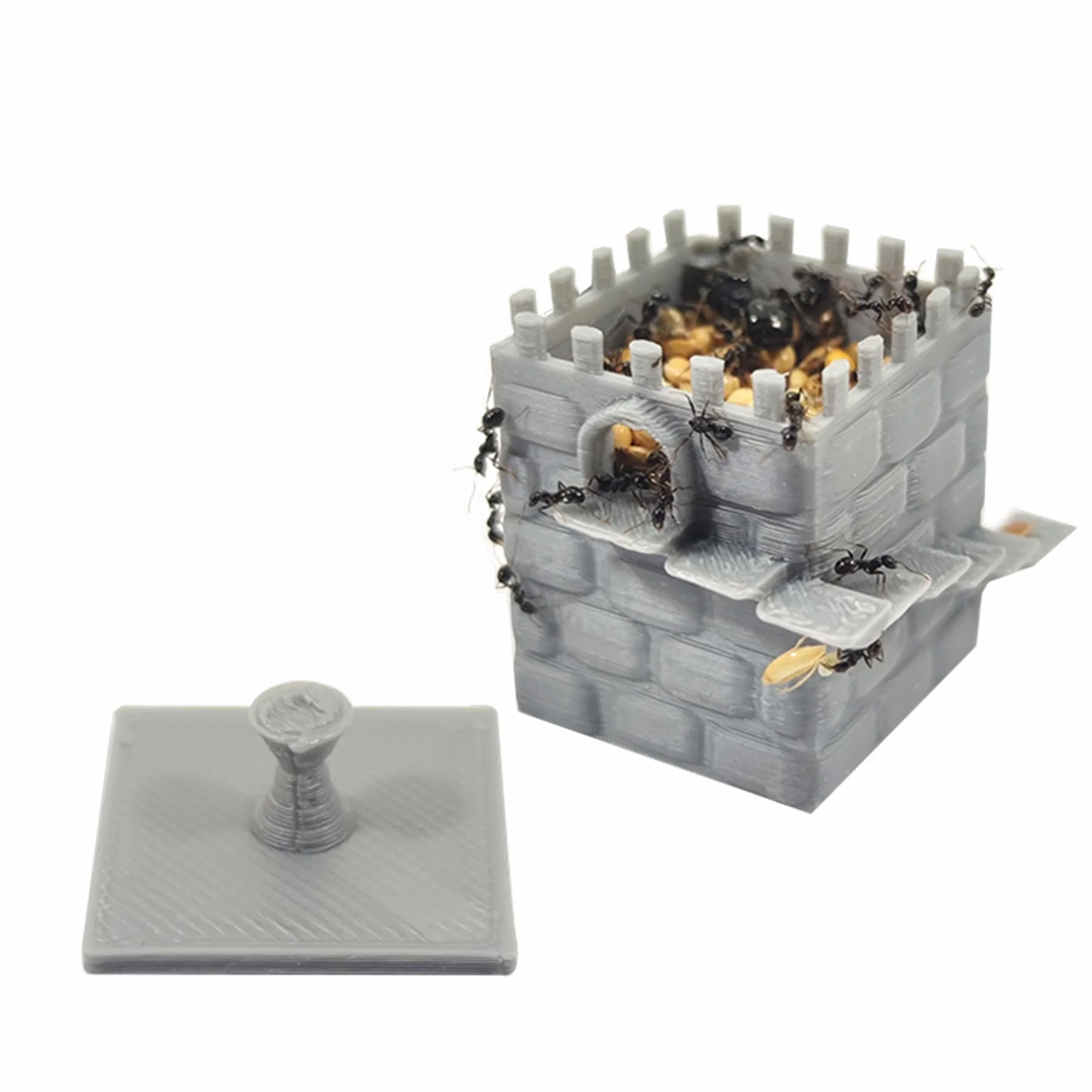 Pokarm dla mrówek, nasion 100 gr, dozownik nasion, do mrówek i mrówek (mały 30 x 30 x 35 mm)