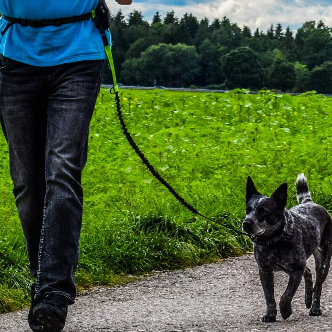 Hundefreund Smycz Do Biegania Dla Małych Psów Do 15 kg – Lekka Smycz Z Pasem Biodrowym, Bez Użycia Rąk, Elastyczna 110–160 cm, Bezpieczna I Wygodna