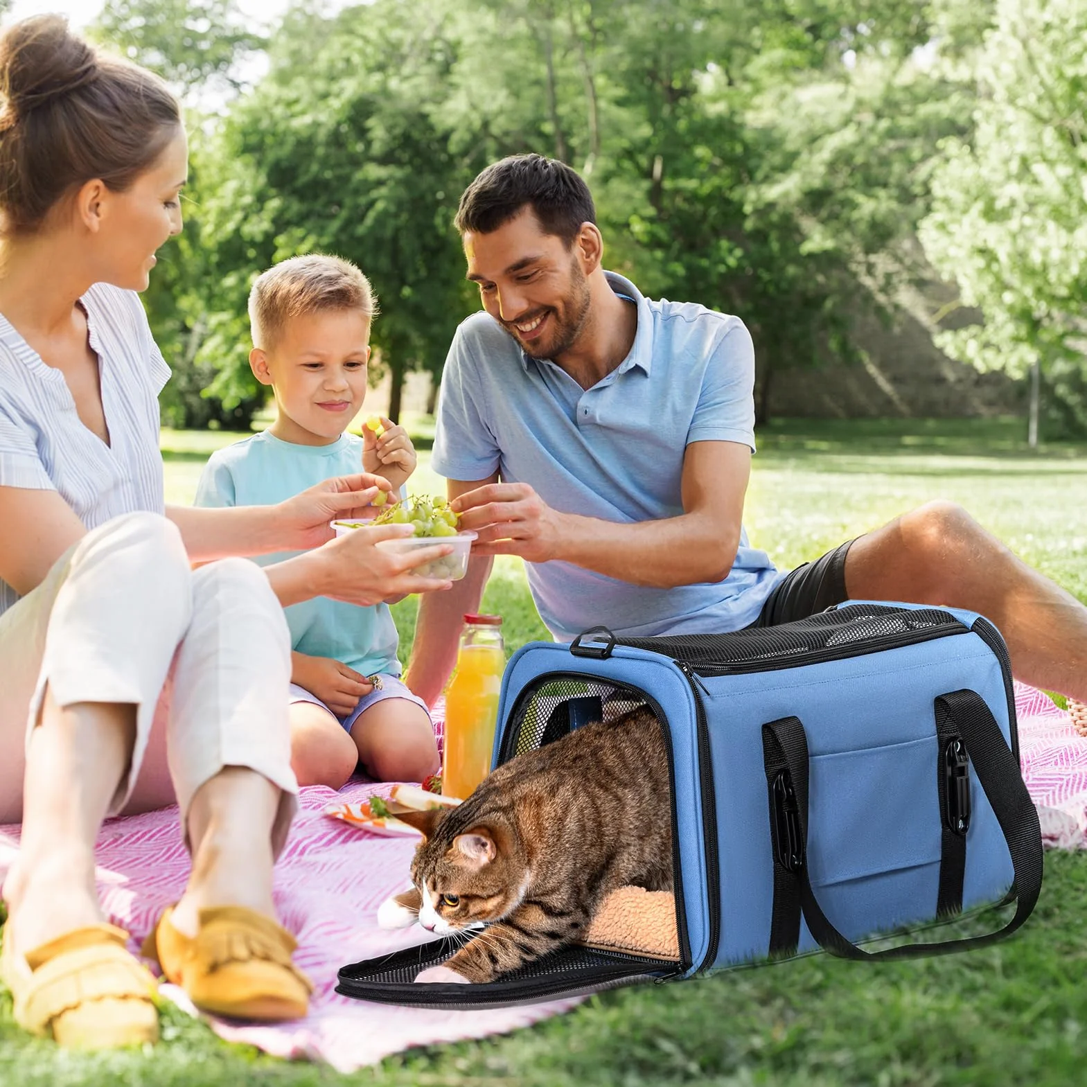 Petsfit Bagażnik samochodowy dla kota, nosidełko podróżne dla szczeniaka z ulepszoną opatentowaną klamrą bezpieczeństwa, przenośna chusta transportowa dla psa, torba podróżna z paskiem na ramię i