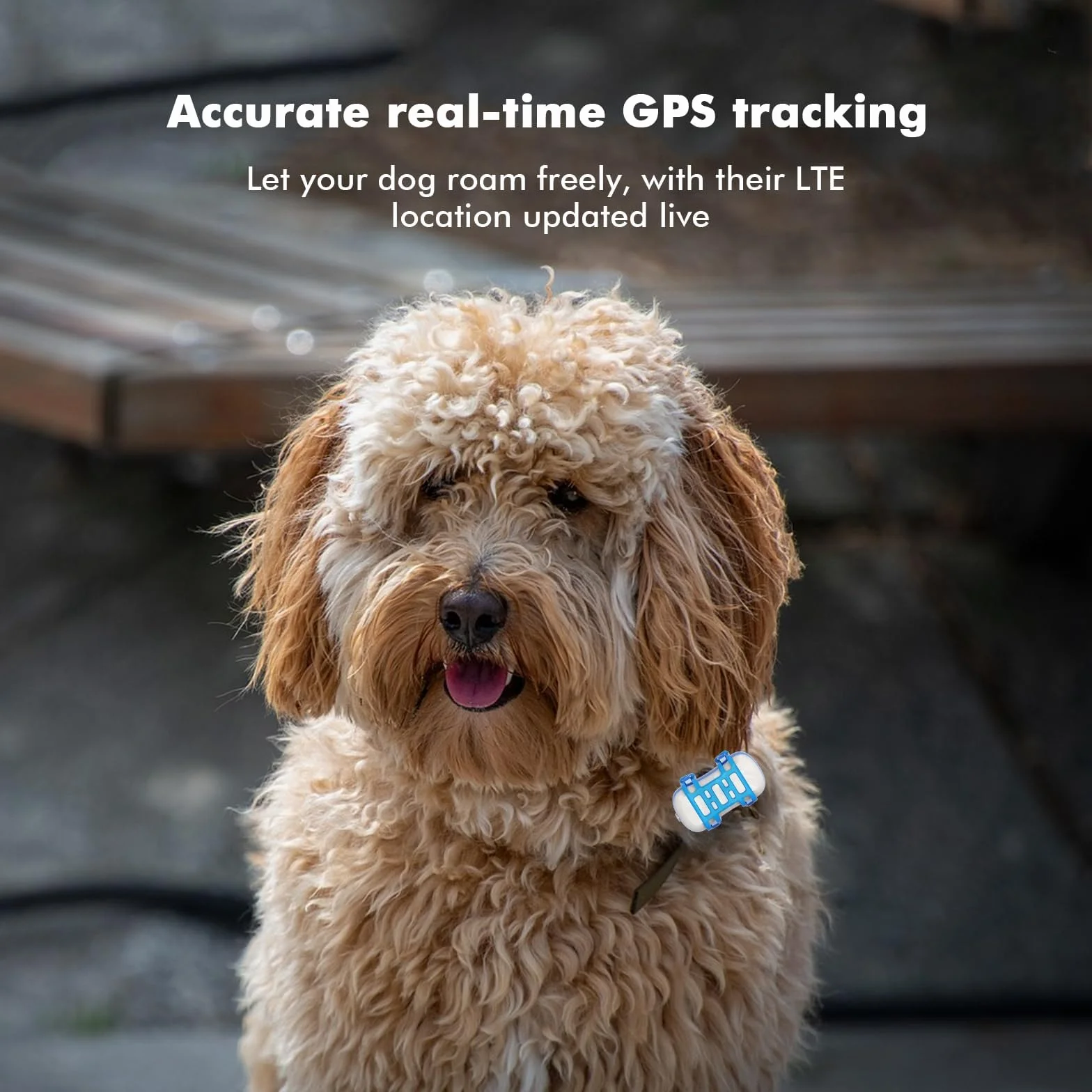 GPS Tracker dla psów 4G w pełni wodoodporny monitor aktywności nieograniczony zasięg