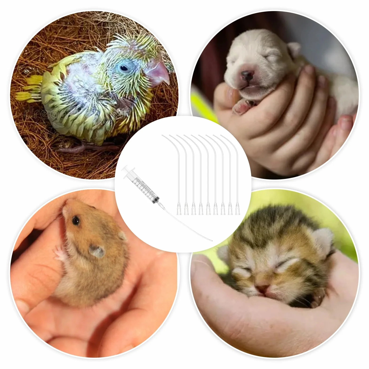 JIEYAO 10 sztuk wężyk do karmienia młodych ptaków, 2 szt. strzykawka 10 ml z wężem, gołębie, akcesoria, karma, strzykawka do karmy, kaniula, guziki, narzędzie do karmienia dla niemowląt, ptaków, papug