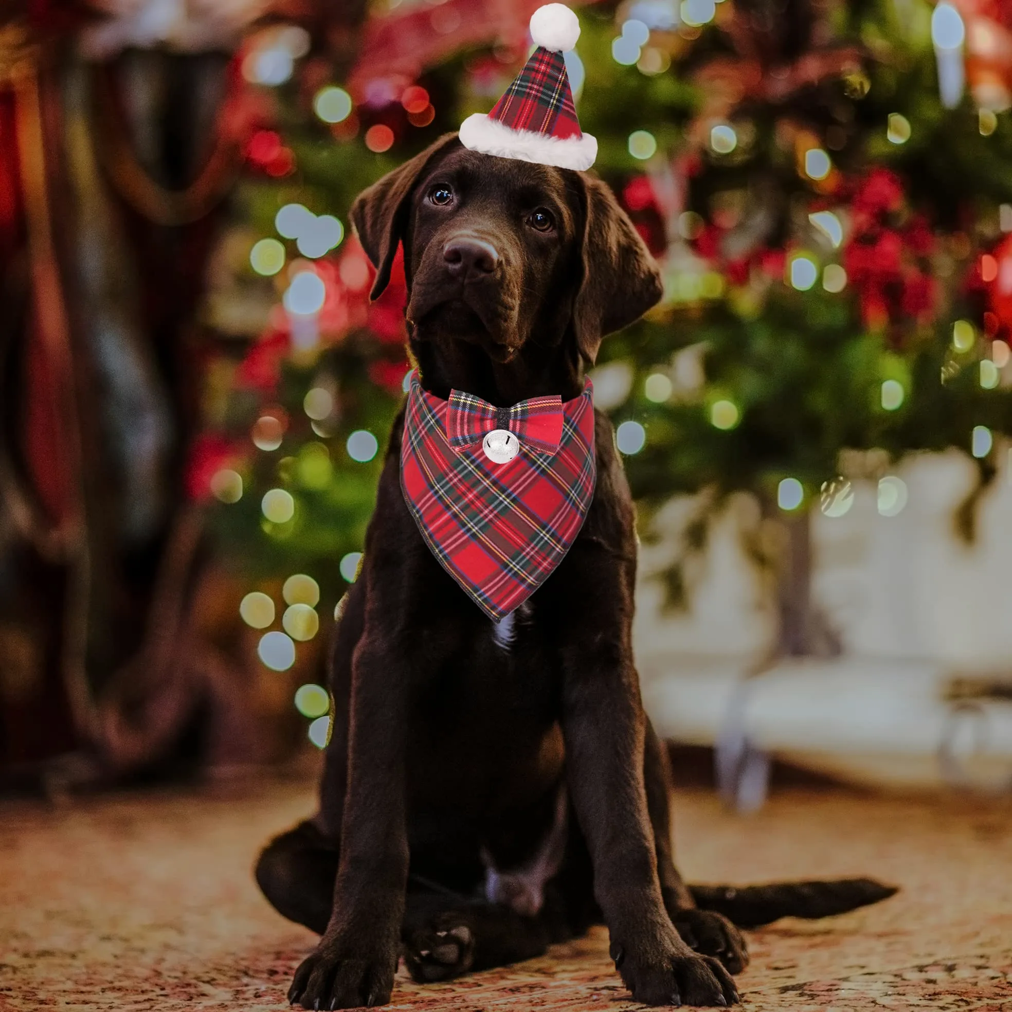 ADOGGYGO Świąteczna bandana dla psa, czapka, muszka, stylowa czerwona krata, czapka bożonarodzeniowa, szalik, kostium, strój dla średnich i dużych psów, zwierząt domowych (rozmiar L)