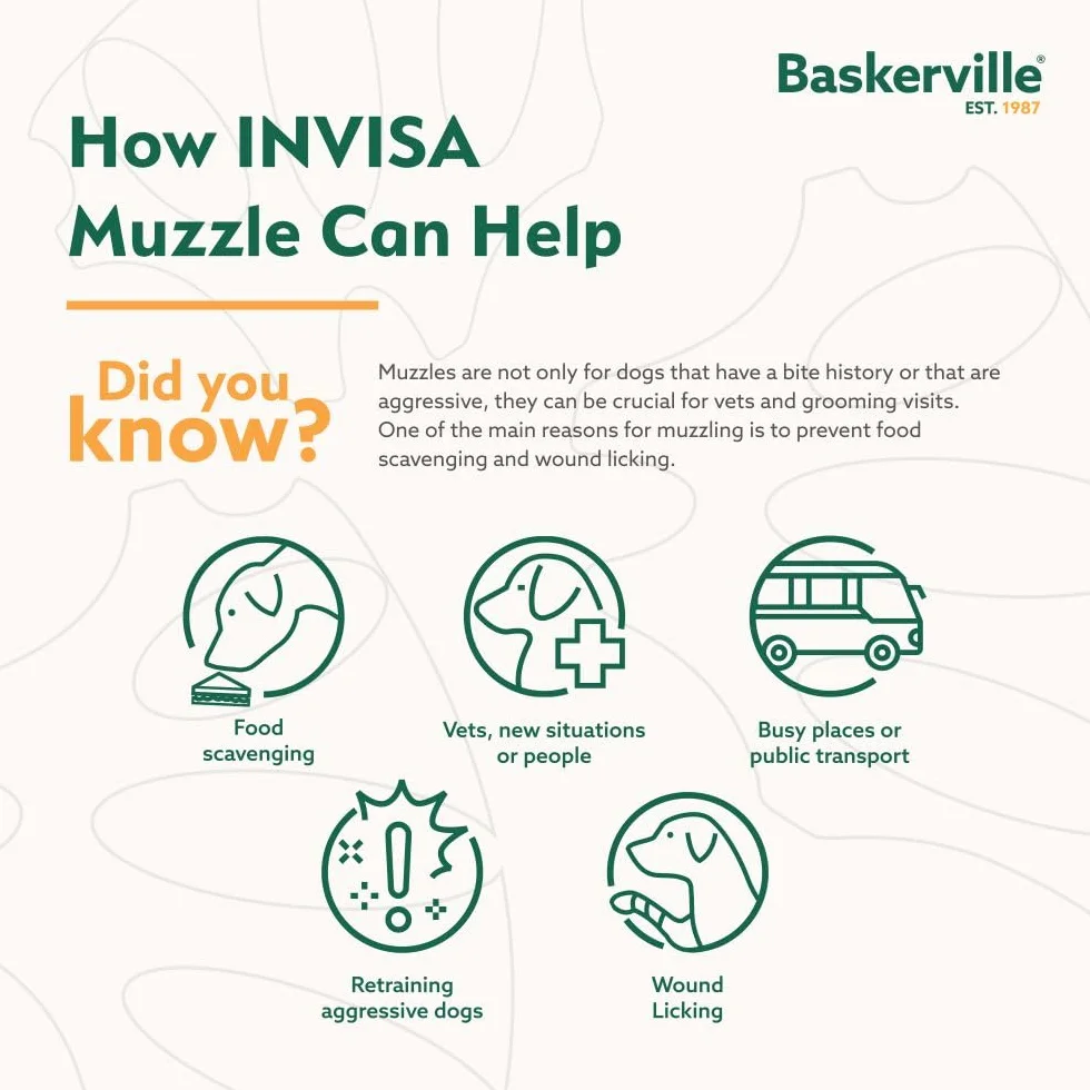 Baskerville INVISA Kaganiec koszykowy dla psa, opatentowany, ludzki design z widocznością twarzy, wyściełany pasek na nos, spodnie i picie, zapobiega gryzieniu i zmiataniu, kaganiec dla średnich psów