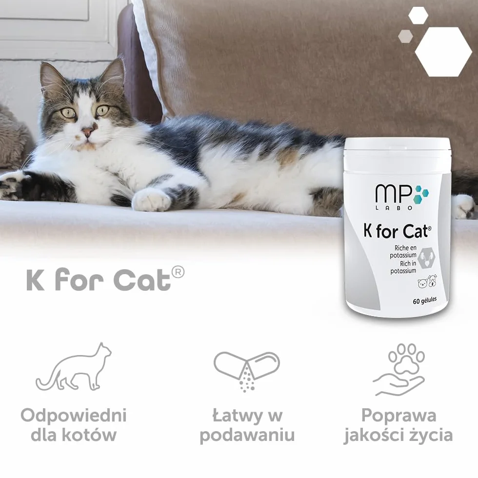 MP Labo K dla kotów 60 kapsułek dla psów i kotów - bogate w potas
