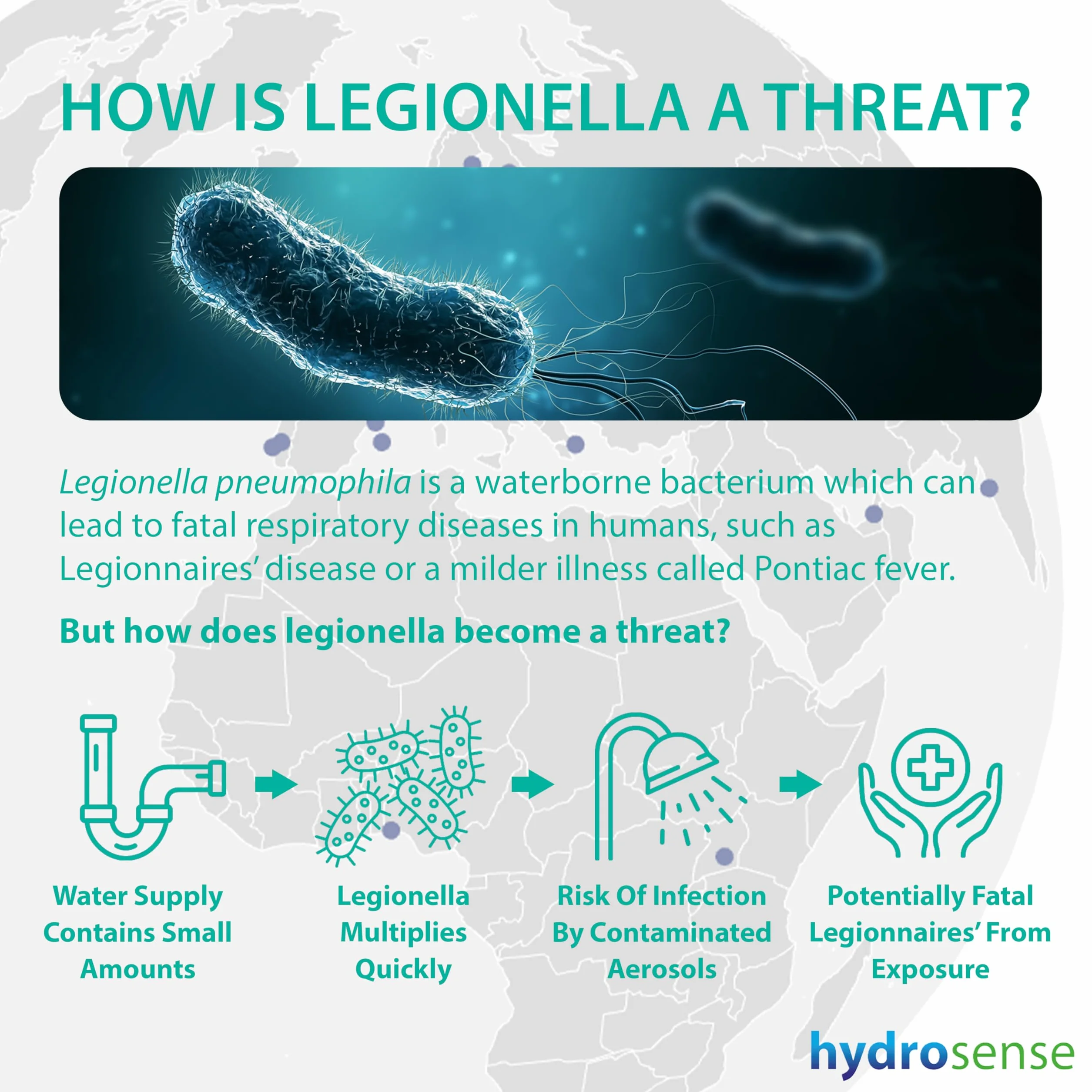 ONE Ultra Legionella Water Test – pojedynczy zestaw testowy do Legionella pneumophila sg1 | Czułość 100 CFU/L | Szybkie 25-minutowe wyniki na miejscu
