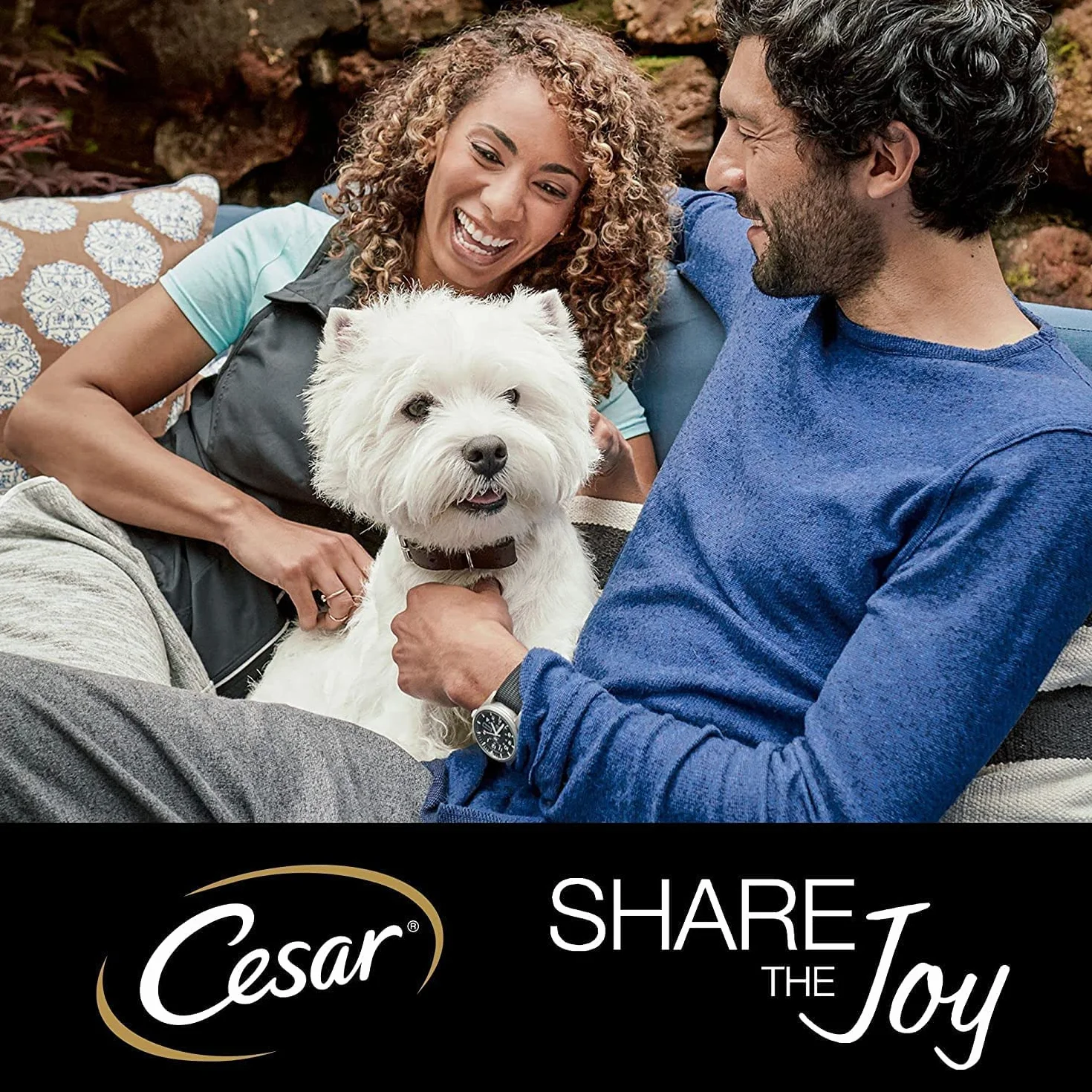 Cesar 4008429079573 Karma, Wołowina, 48 x 100g