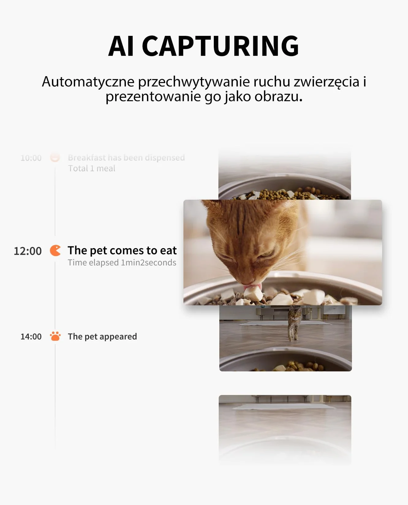 PETKIT Automatyczny Dozownik Karmy dla Kota z Kamerą, 1080P HD, Funkcja AI, 3L Automatyczny Podajnik Karmy dla Kotów/Psów, Dwukierunkowe Audio, 2.4G WiFi, Sterowanie APP, Miska ze Stali Nierdzewnej