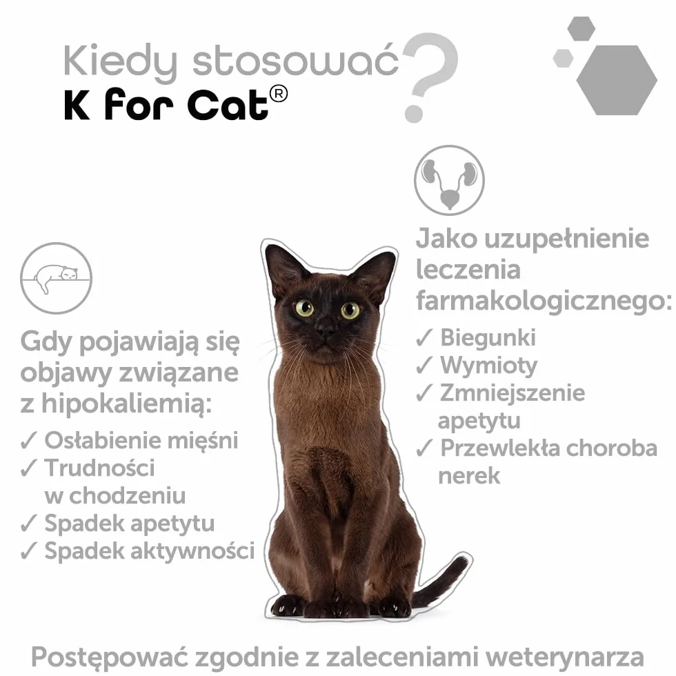 MP Labo K dla kotów 60 kapsułek dla psów i kotów - bogate w potas