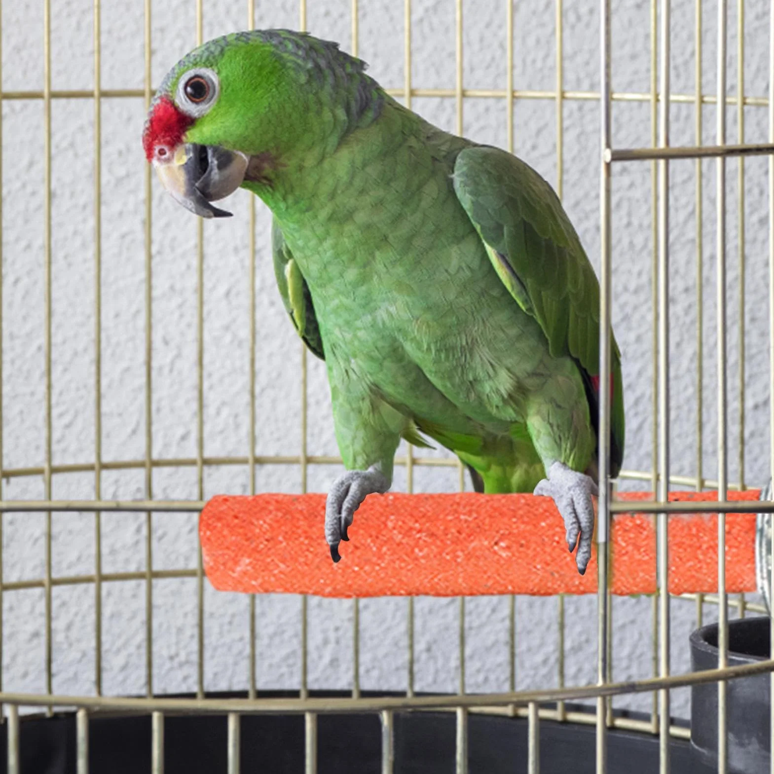 Szlifierka dla ptaków, okonia w klatce dla ptaków – Parrot Frosted stojak na okonie do klatki, zabawka do ostrzenia pazurów, dla papug, papug, gołębi