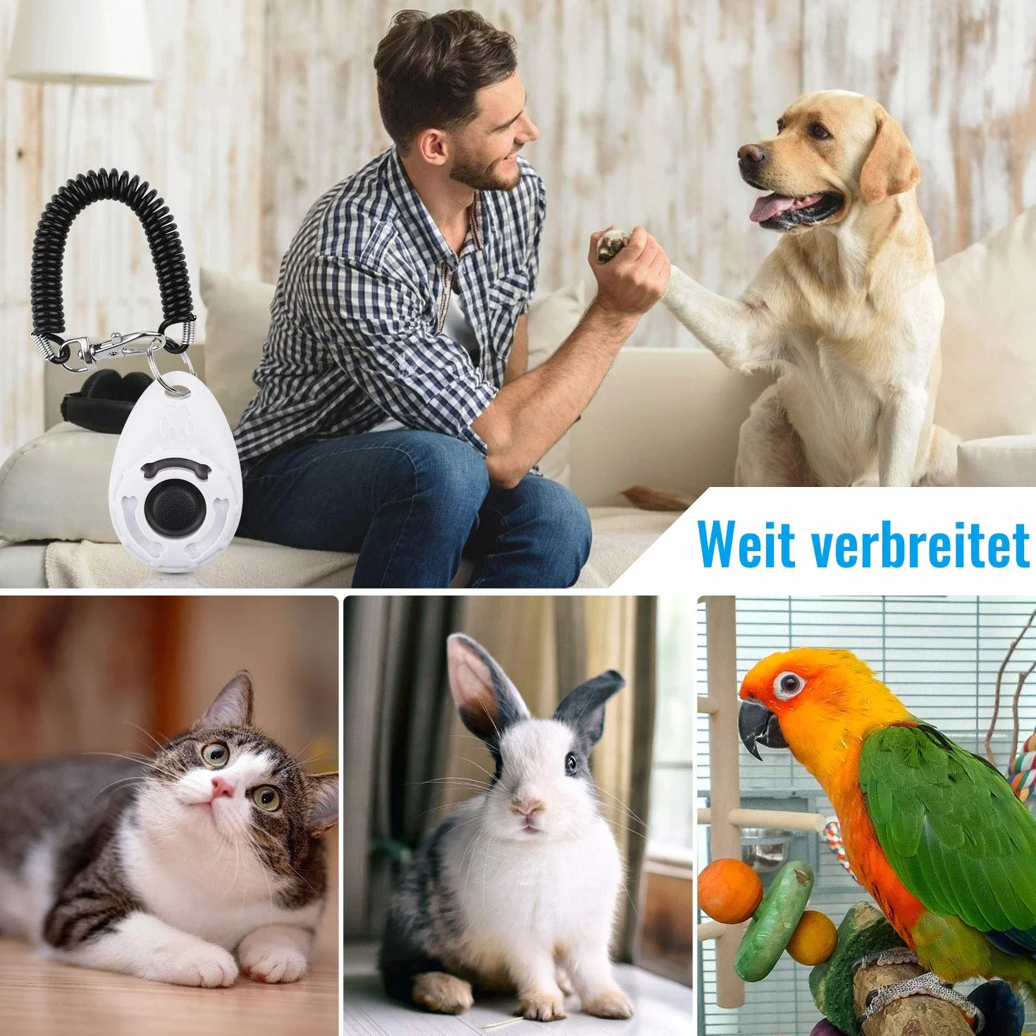 Diyife Clicker Clicker dla Psów, z Elastycznym Paskiem i Dużym Guzikiem, Profesjonalny Clicker Treningowy dla Kotów, Psów, Koni [3-pak, Czarny + Niebieski + Biały]