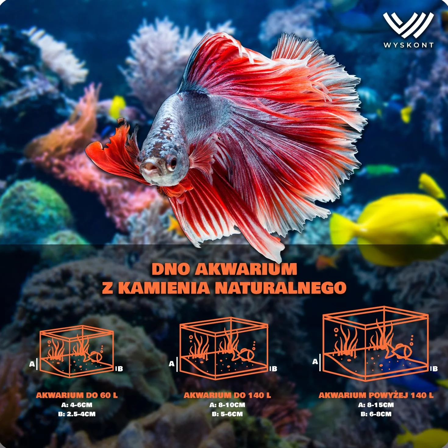 żwirek do akwarium czarny - żwir akwarystyczny 1 kg – 3-5 mm – żwirek akwarystyczny - dekoracja akwarium - podłoże akwariowe - piasek kwarcowy - ozdoba akwariowa