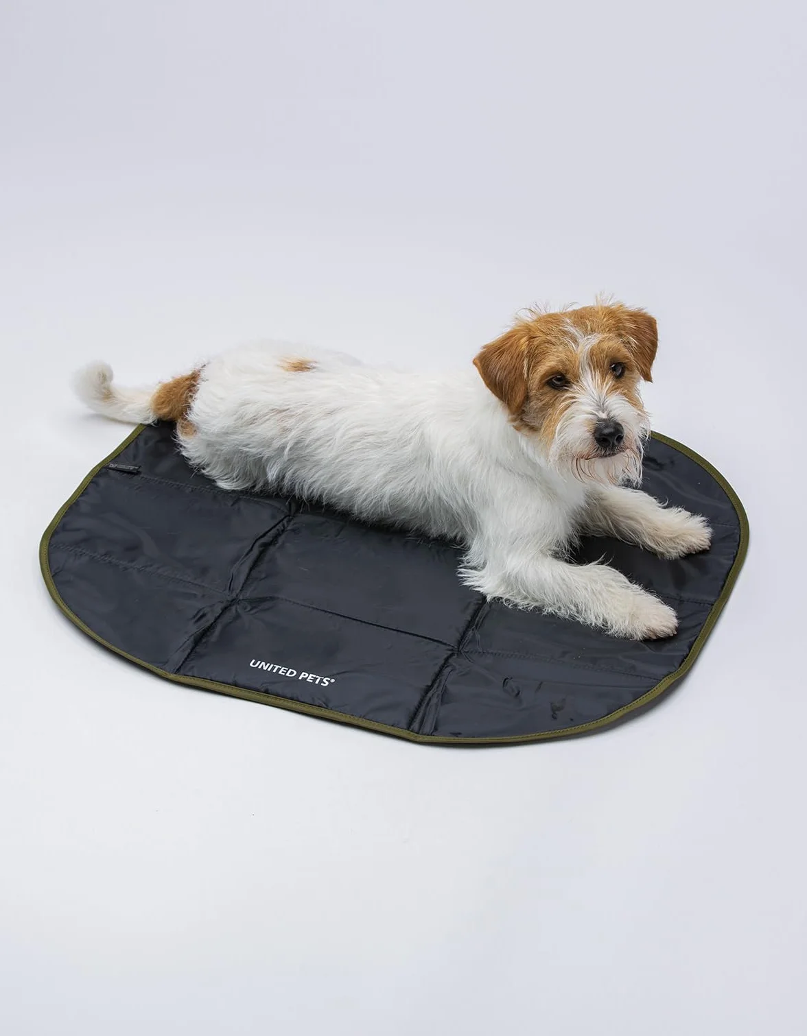 United Pets Lazy Dog Mat - Przenośne składane legowisko dla psa, mata do restauracji i podróży, lekka mata do spania dla psa, czarno-zielona