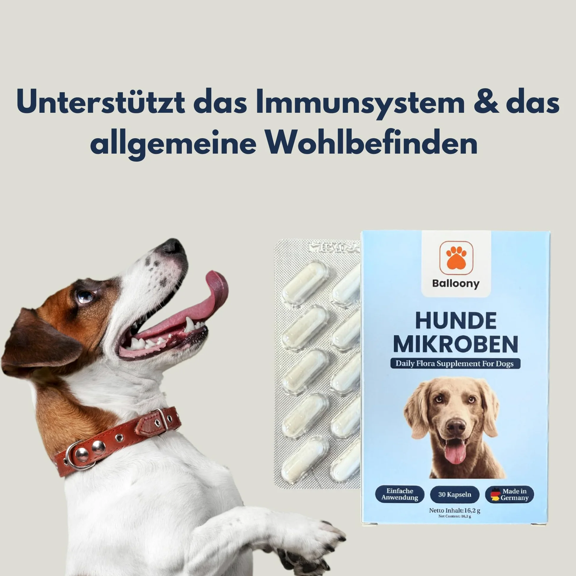 Mikroby dla psów – probiotyki premium dla zdrowia trawienia (30 kapsułek)