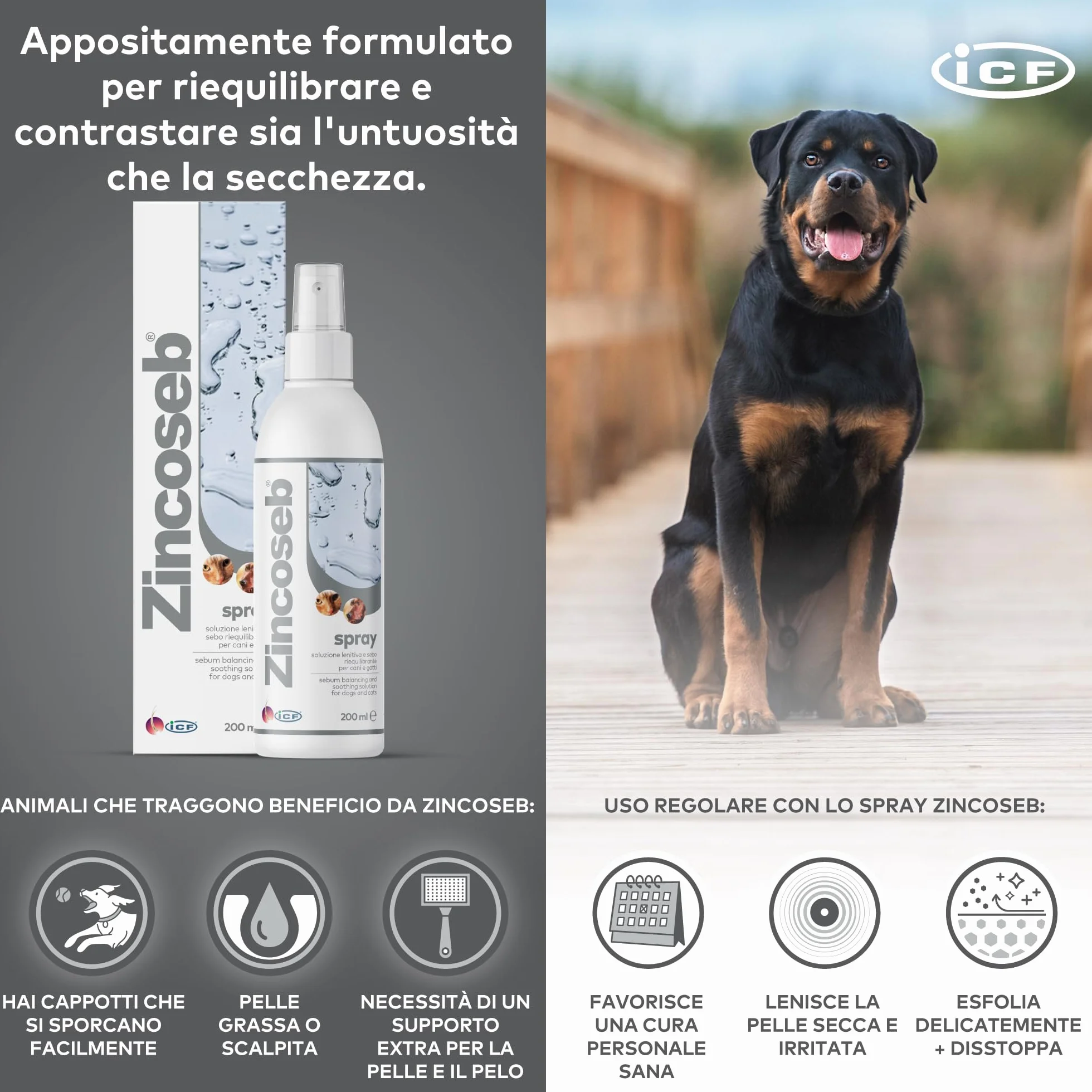 Geulincx Zincoseb Spray 200 ml ICF