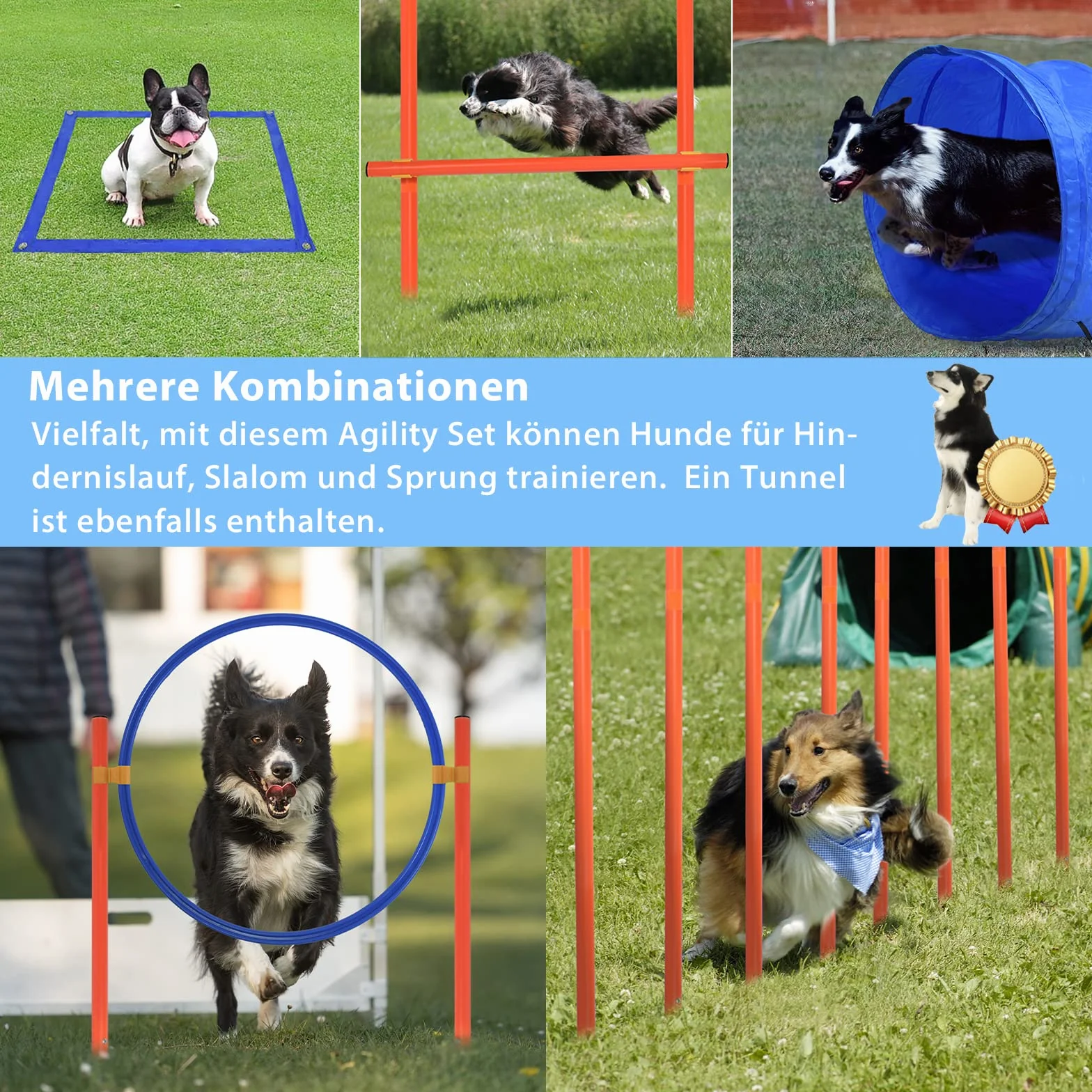 HENGMEI Agility zestaw treningowy dla psów z tunelem, regulowane przeszkody, pierścień do skakania