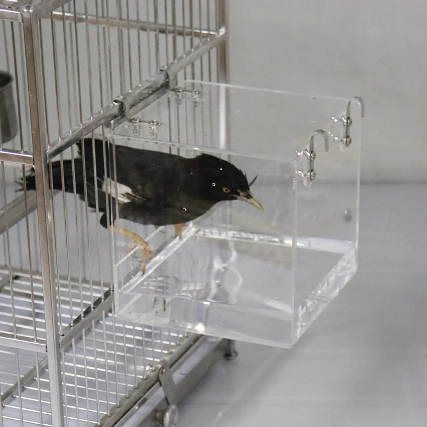 GURECOD Wisząca kostka do kąpieli dla ptaków wanna wanna prysznic miska klatka akcesoria dla małego ptaka kanarka papugi czubata Myna Cockatiel Lovebird papużka kąpiel (13 x 13 x 10,9 cm)