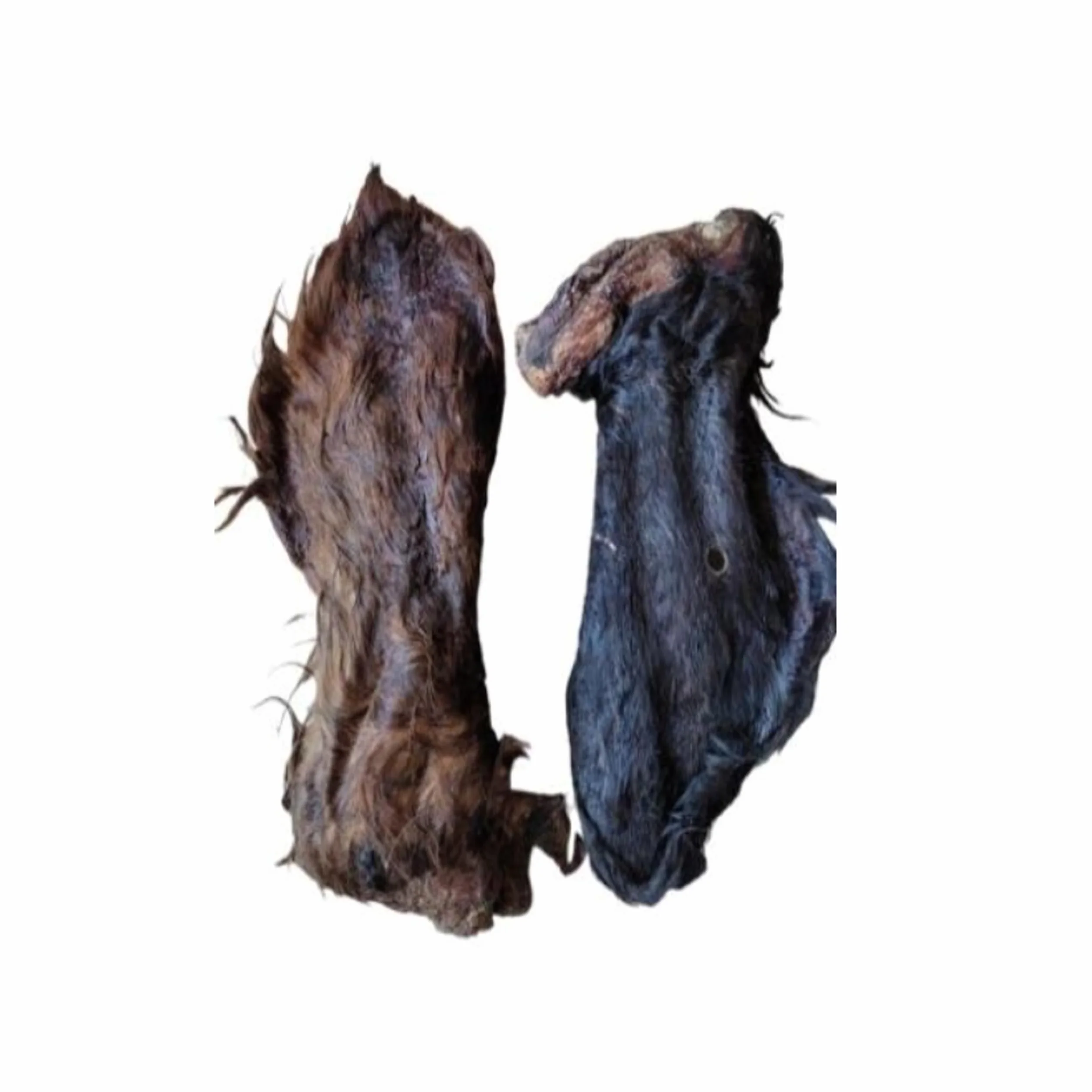 Uszy wołowe z futrem XXL, 10 sztuk, Gryzak dla psów dużych i średnich, 15–22 cm,100% naturalny Przysmak do Żucia, Polska Produkcja
