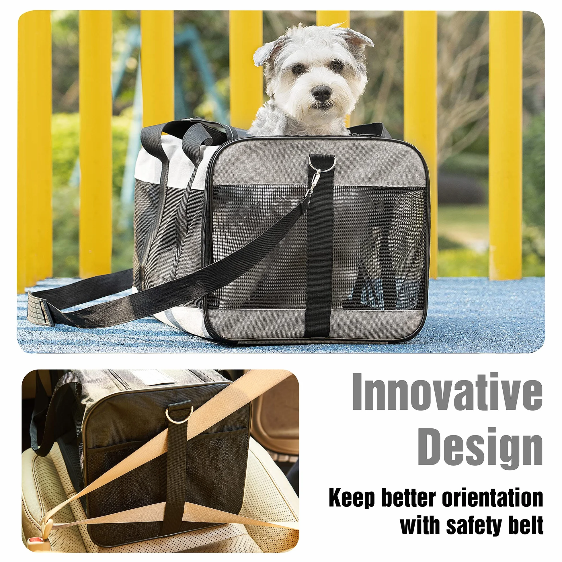 HITSLAM hundebox Faltbar Hundetransportbox Katzentransportbox Katzenbox Transportbox katzentasche für Hund, Katzen, Airline Zugelassen, Reisefreundliche Transporttasche